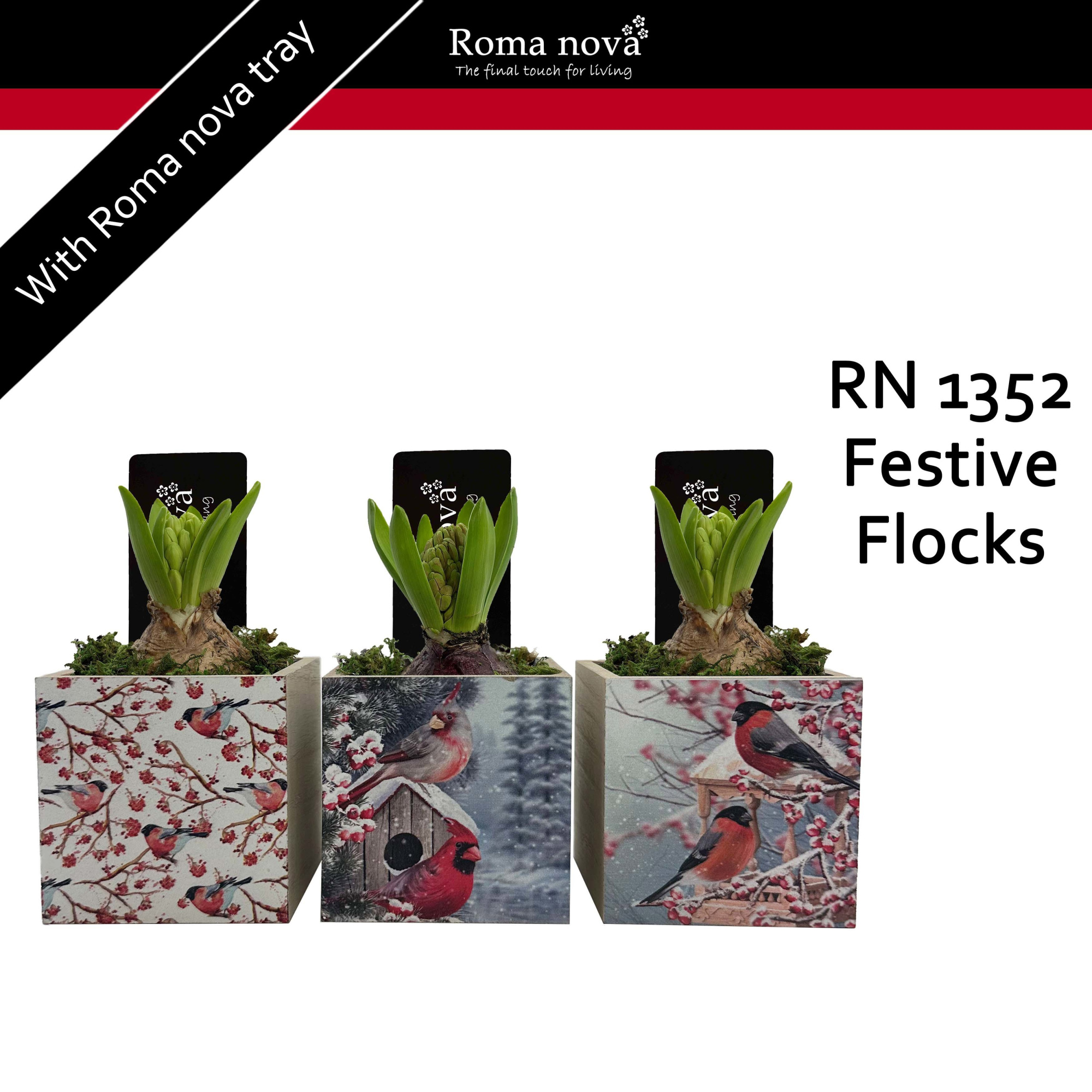 1352 - Festive Flocks (Hyacint), D 9