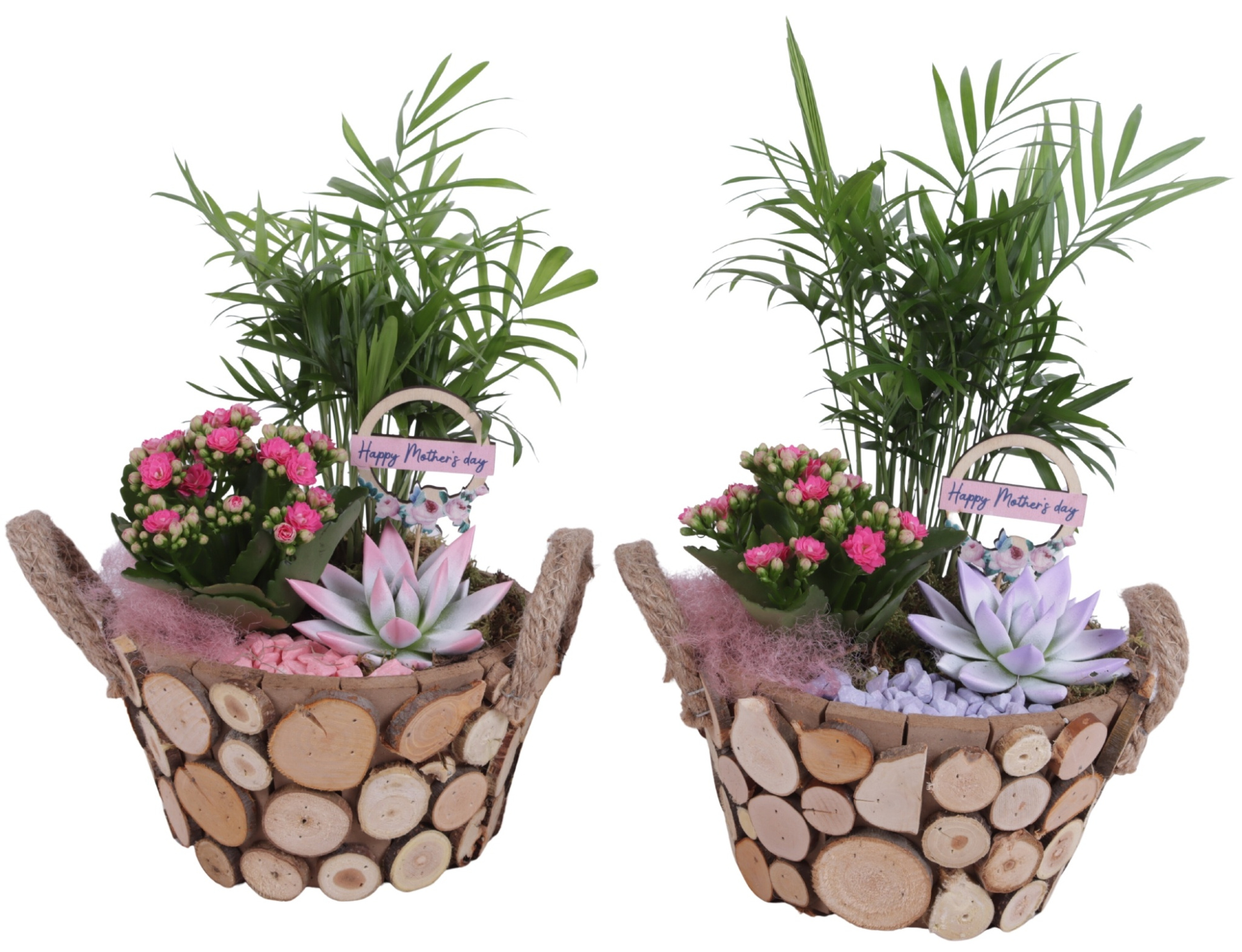 Mothersday Arr. Indoor Wooden Pot Round Tree Chucks Ø22cm 3PP, D 22