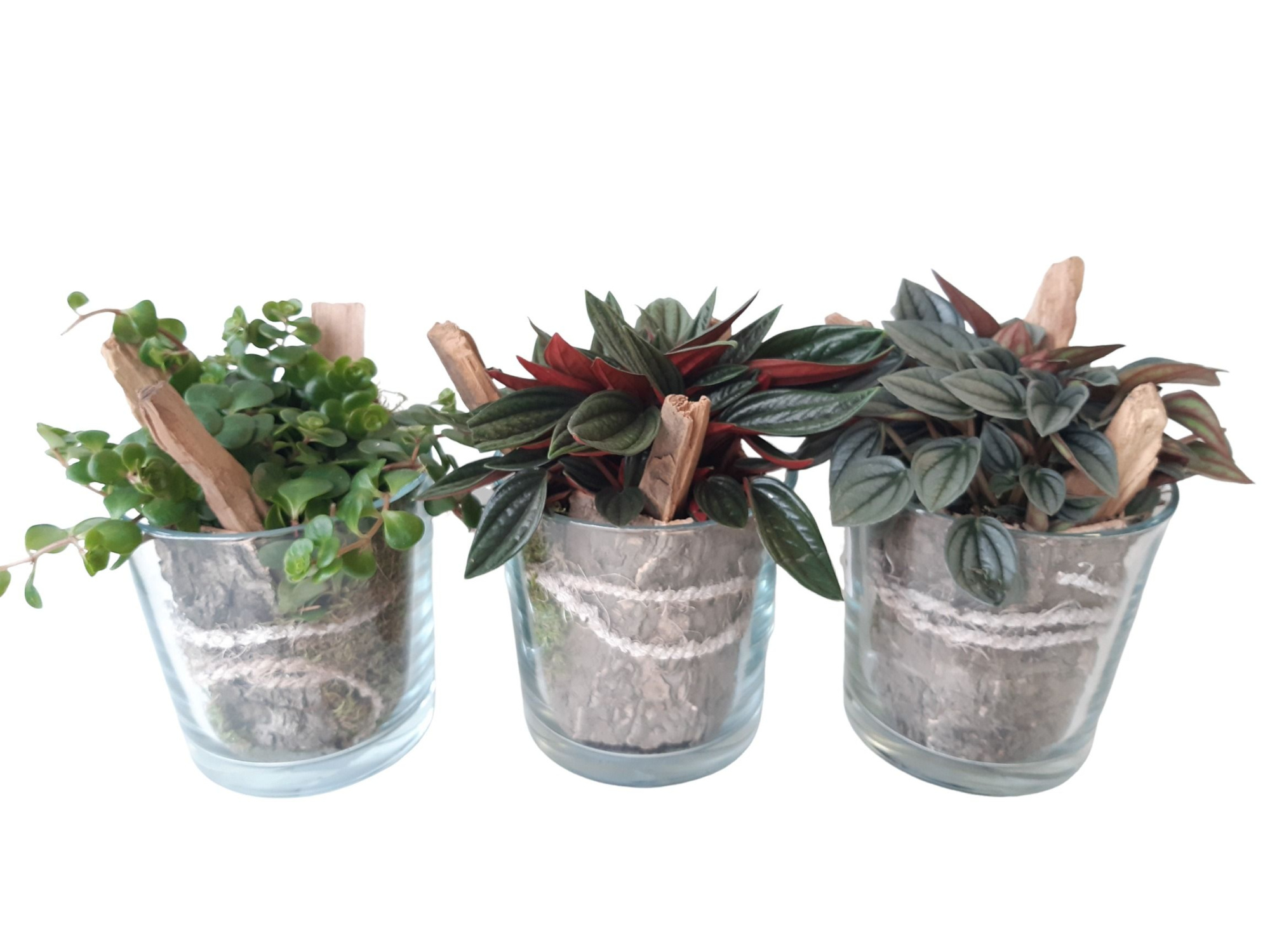 833HMX Cilinderglas groenmix, D 13 cm