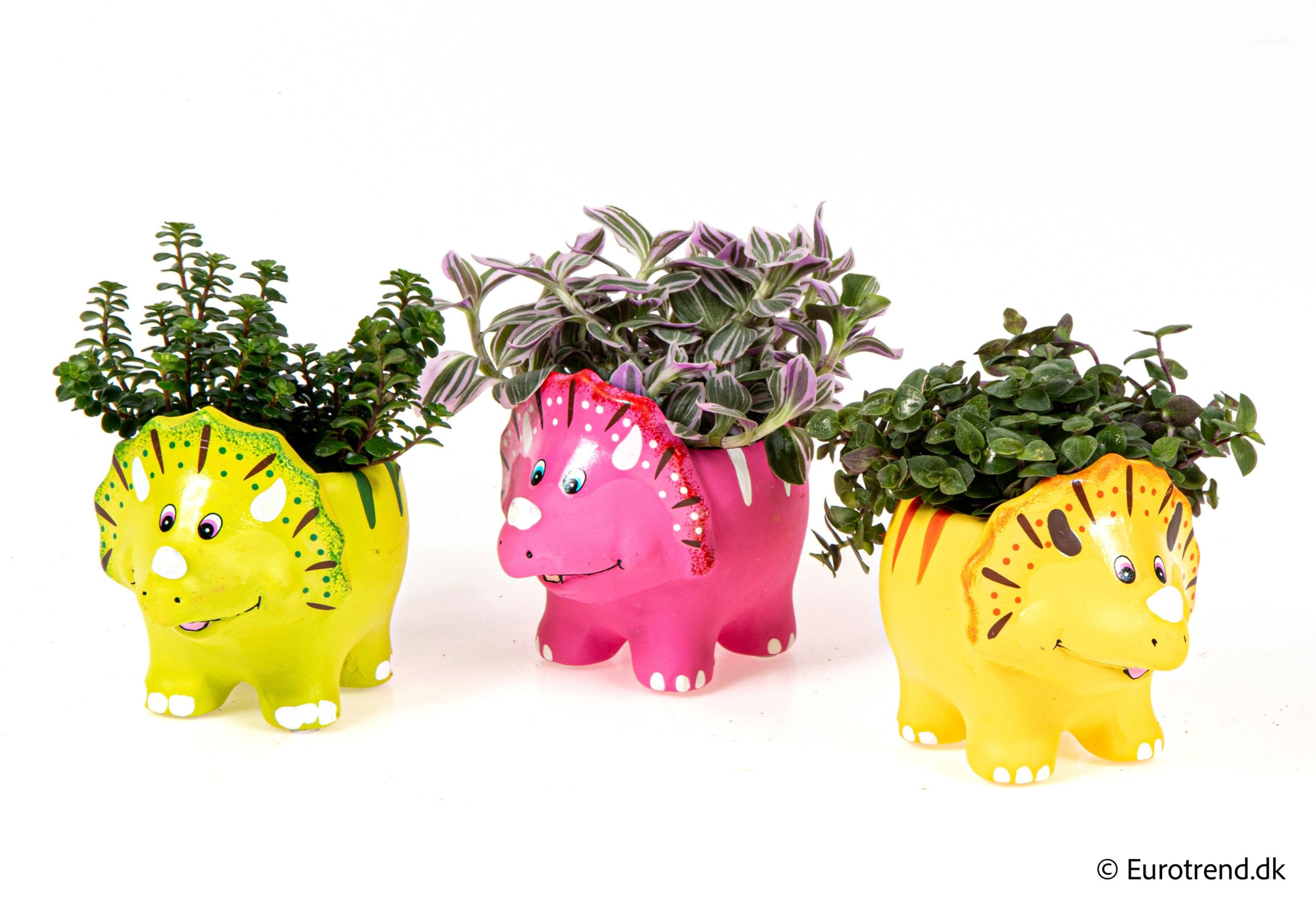 Green mix dino ceramic - Spring, Summer & Autumn 2025, D 6 cm