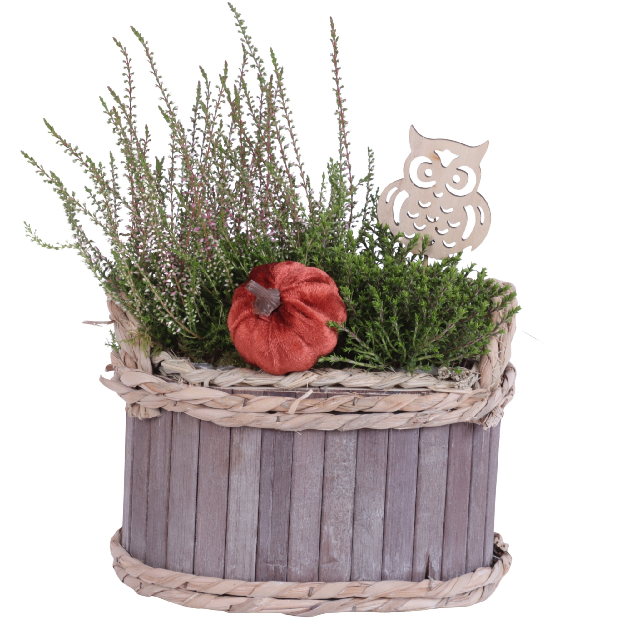 Autumn Arr. Indoor Wooden Pot Oval Waterhyacinth Rim Ø22cm 2PP, D 22 cm