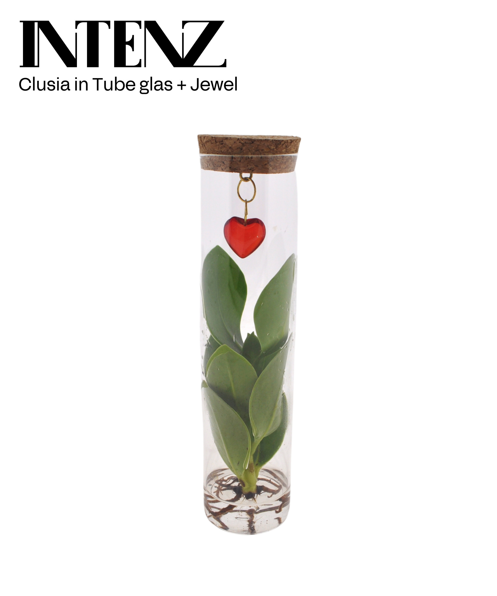 Mix in Tube glas + Jewel (hartje), D 7 cm