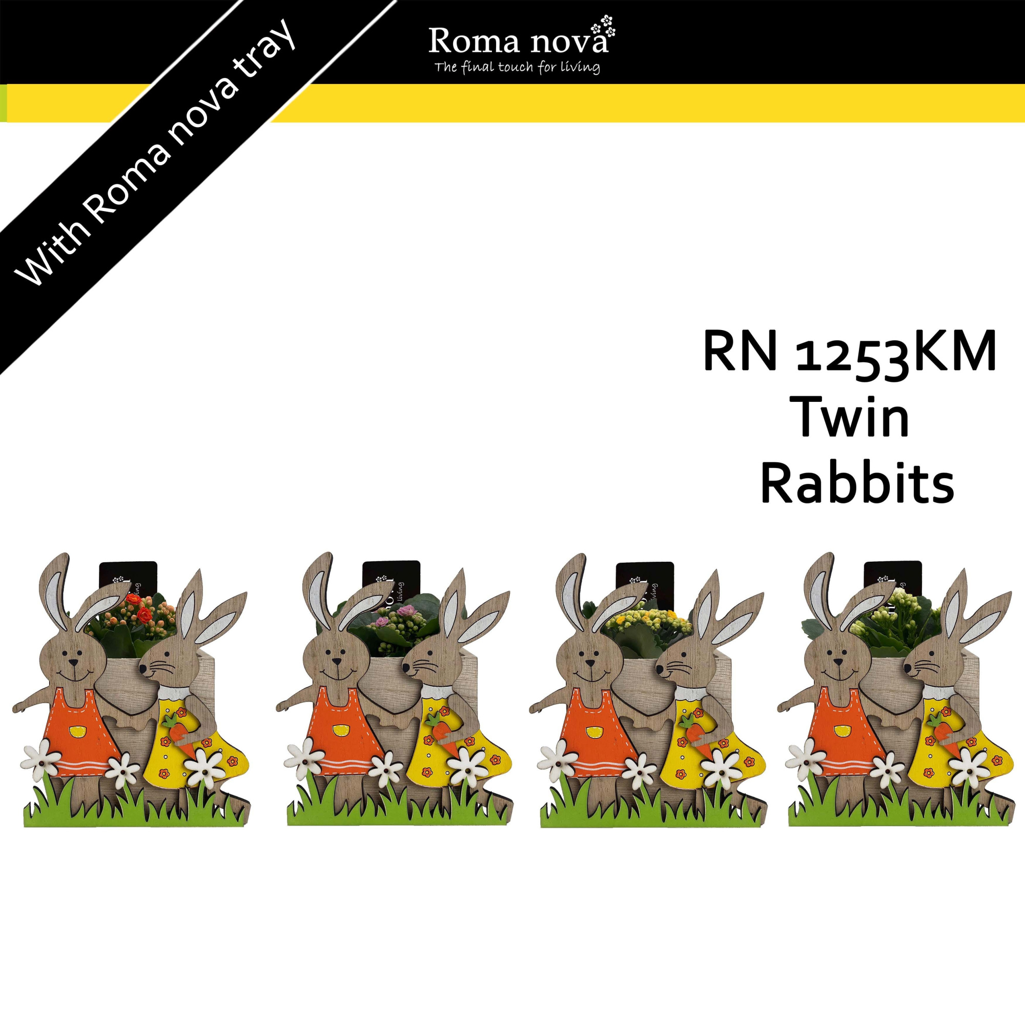 1253KM - Twin Rabbits (Kalanchoe mix), D 14