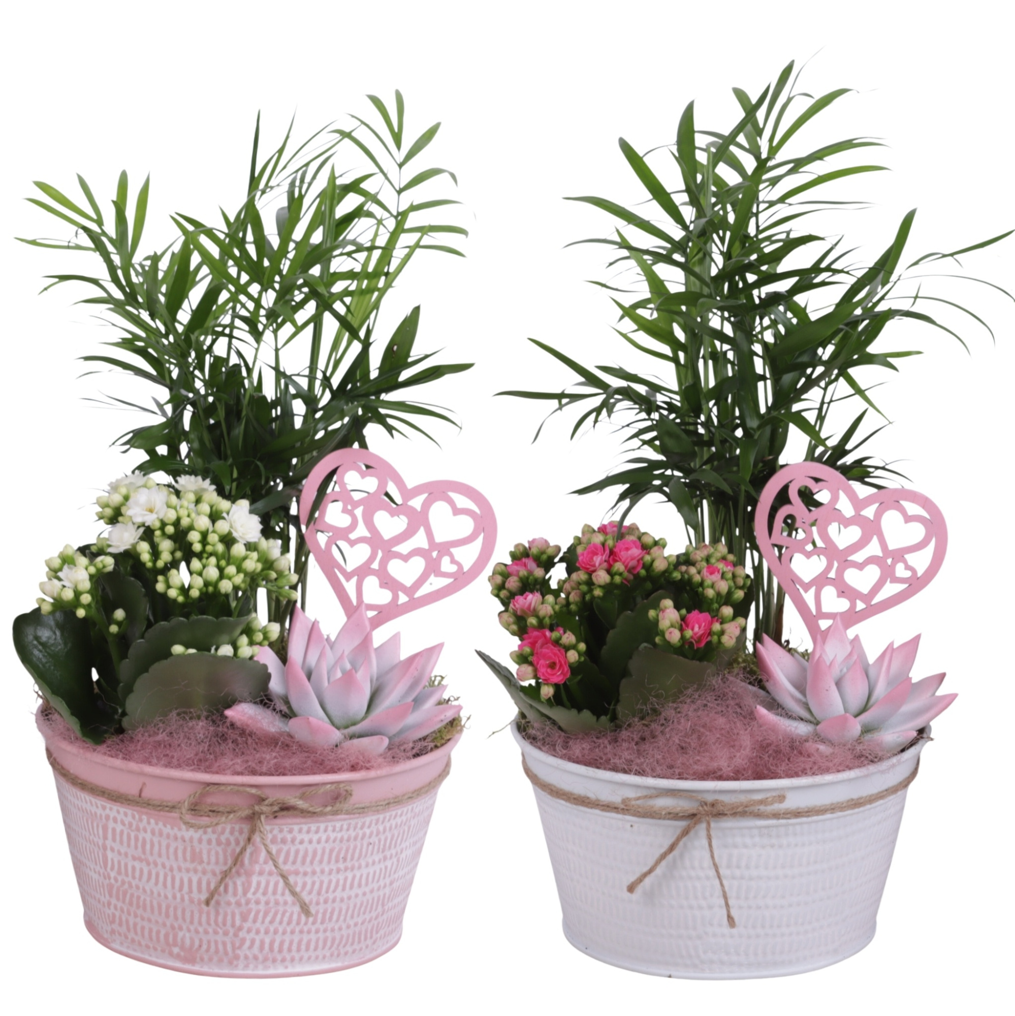 Mothersday Arr. Indoor Zinc Pot Round Pink/White Ø17cm 3PP, D 17