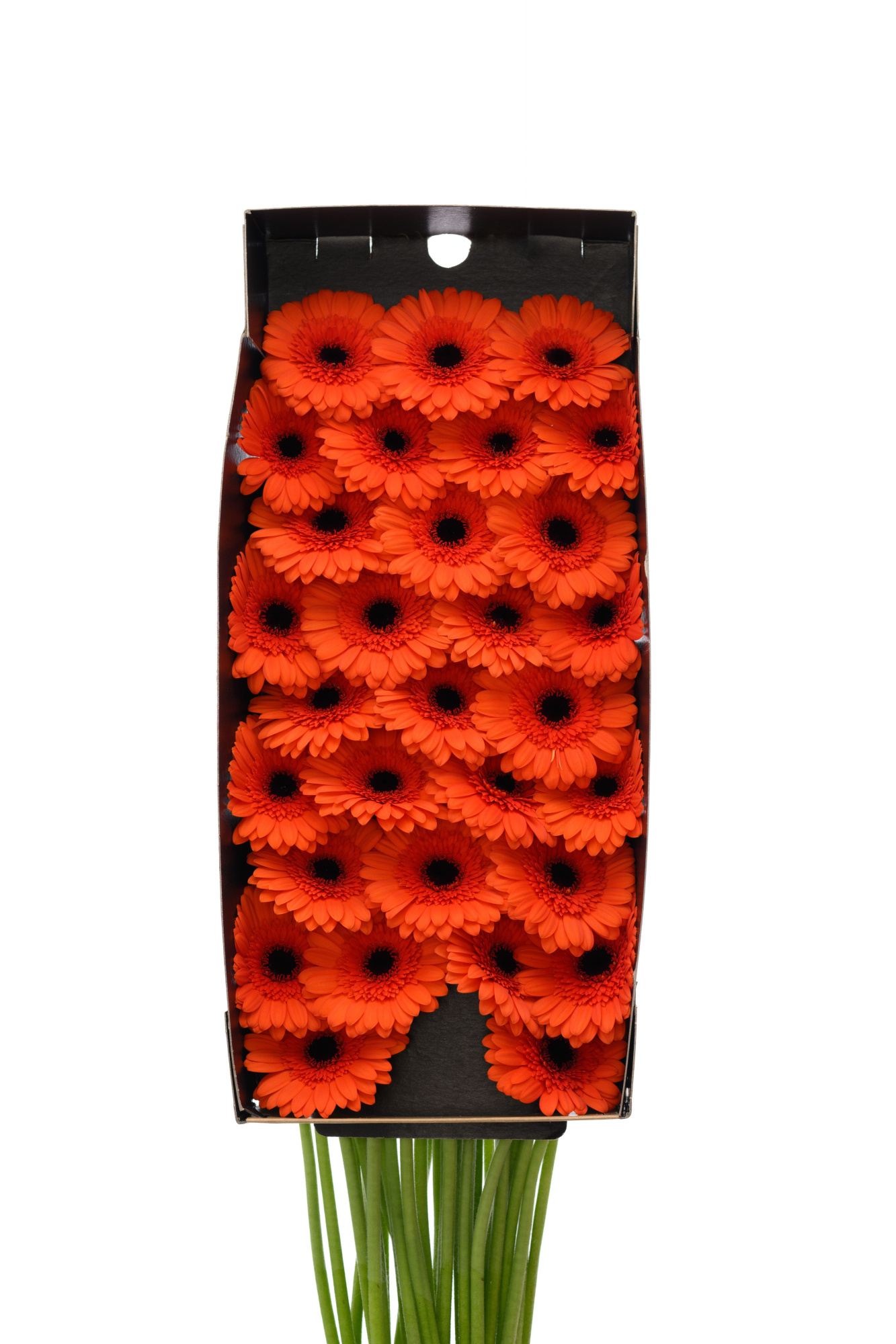 Гермини Карамба x60, шт.