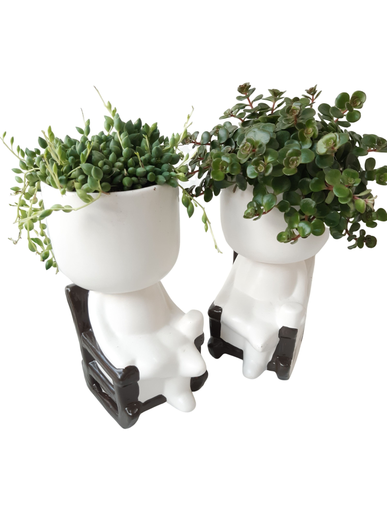 CLR20MIX Chilling Large 20cm Groenmix, D 20 cm