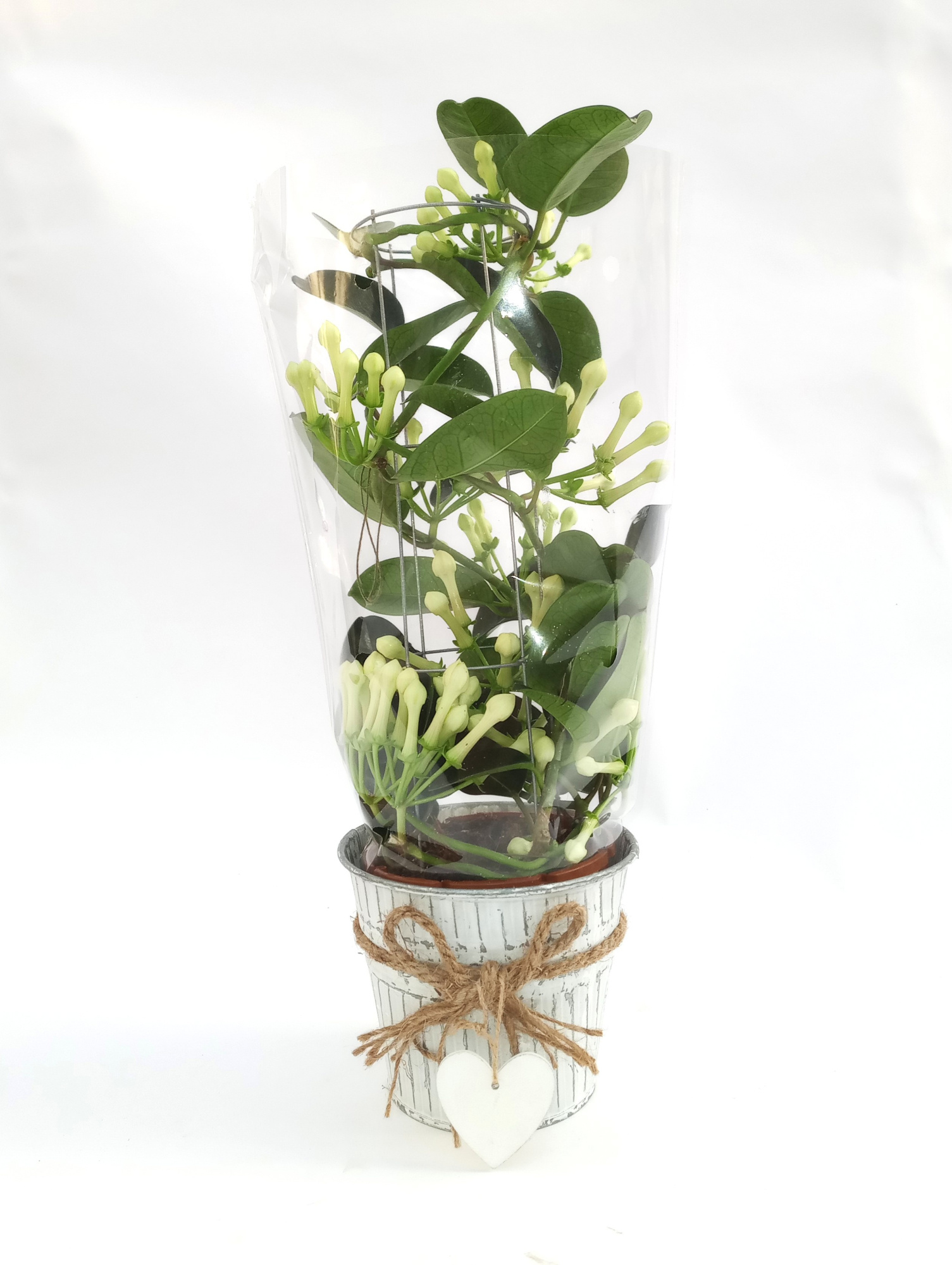 Steph.Luxe Tower Zink Evi, D 12