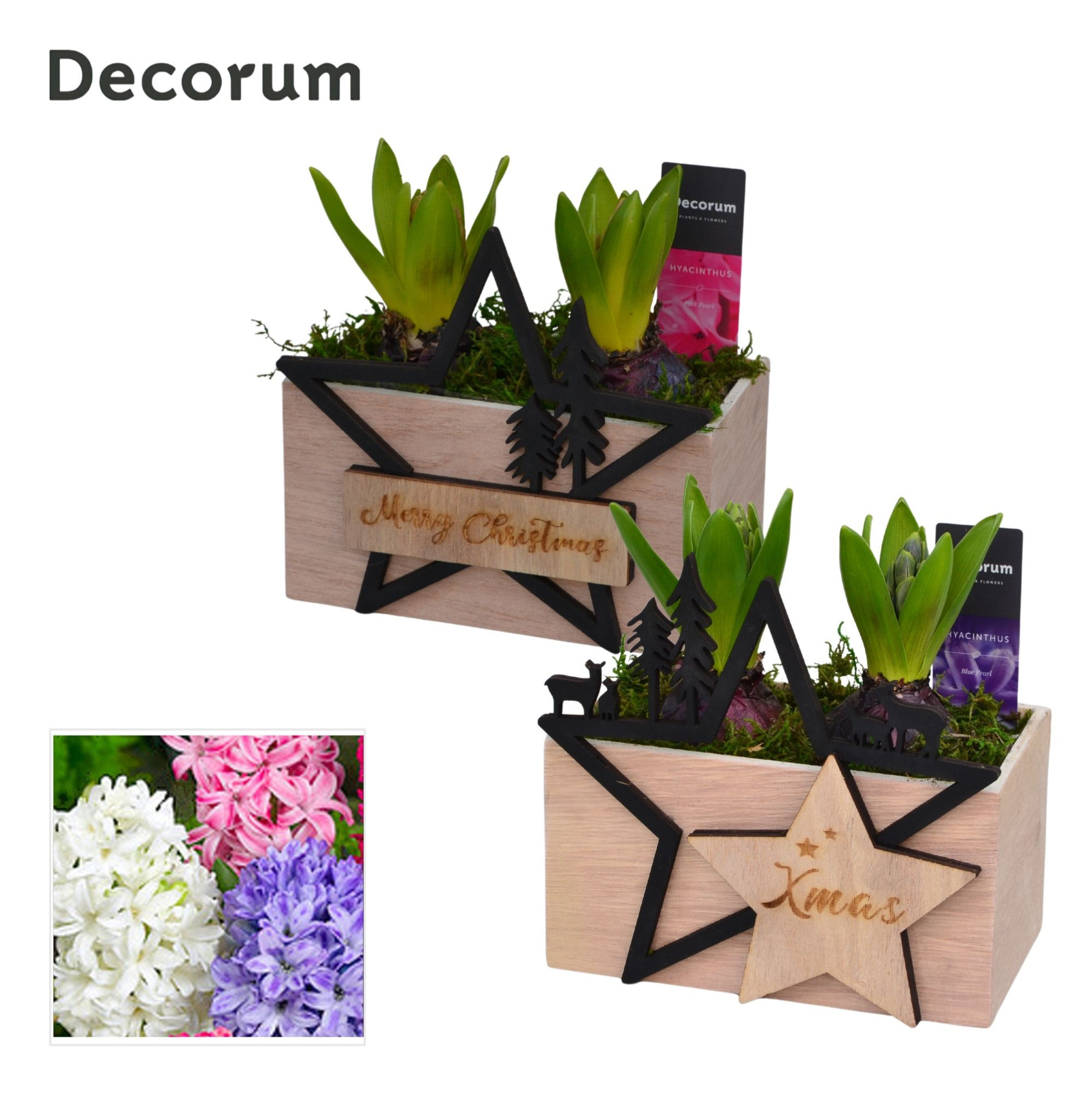 Hyacint Duo Hout Kerst HL15902 [PURE], D 16