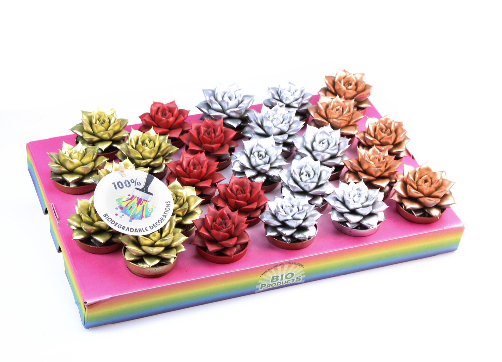 Bio purper rainbow mix, D 5,5