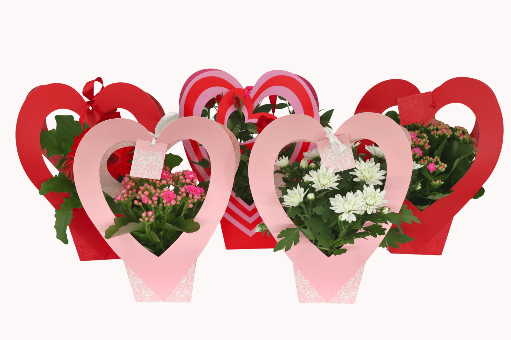 Bloeimix calandiva roos gerbra chrysant 12 cm in hart cover, D 12