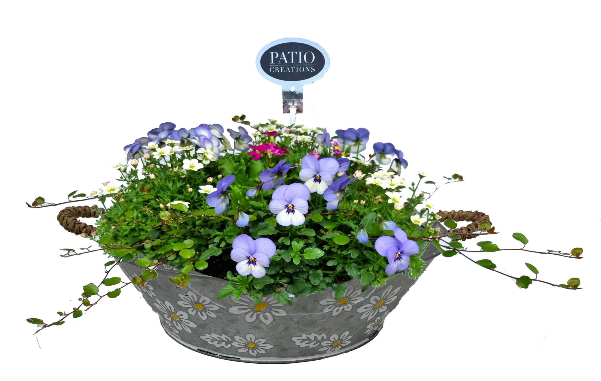 VM867-602 Voorjaarsmix Daisy zinc with handle scale, D 28