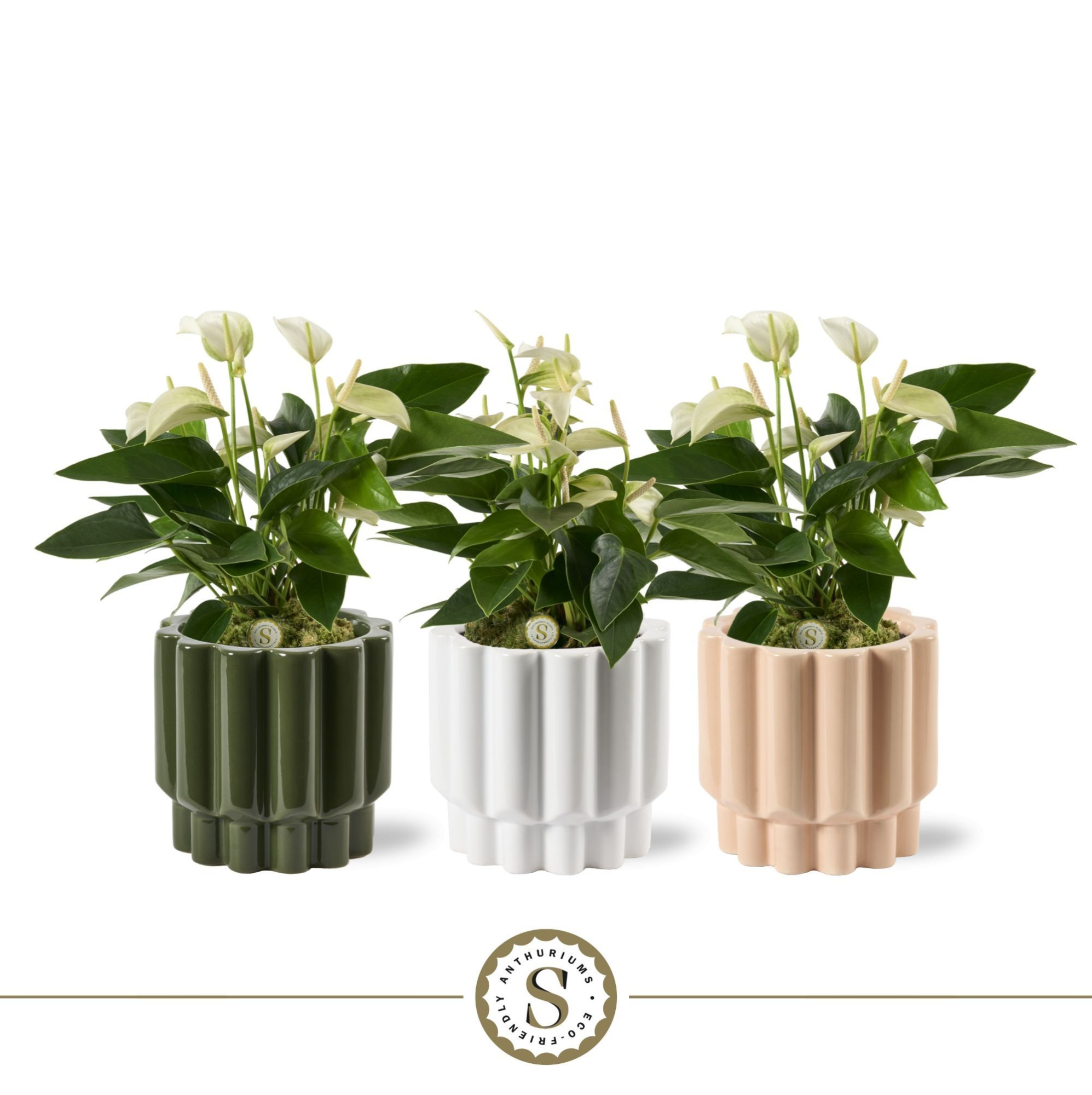 Monza Keramiek White, D 12 cm