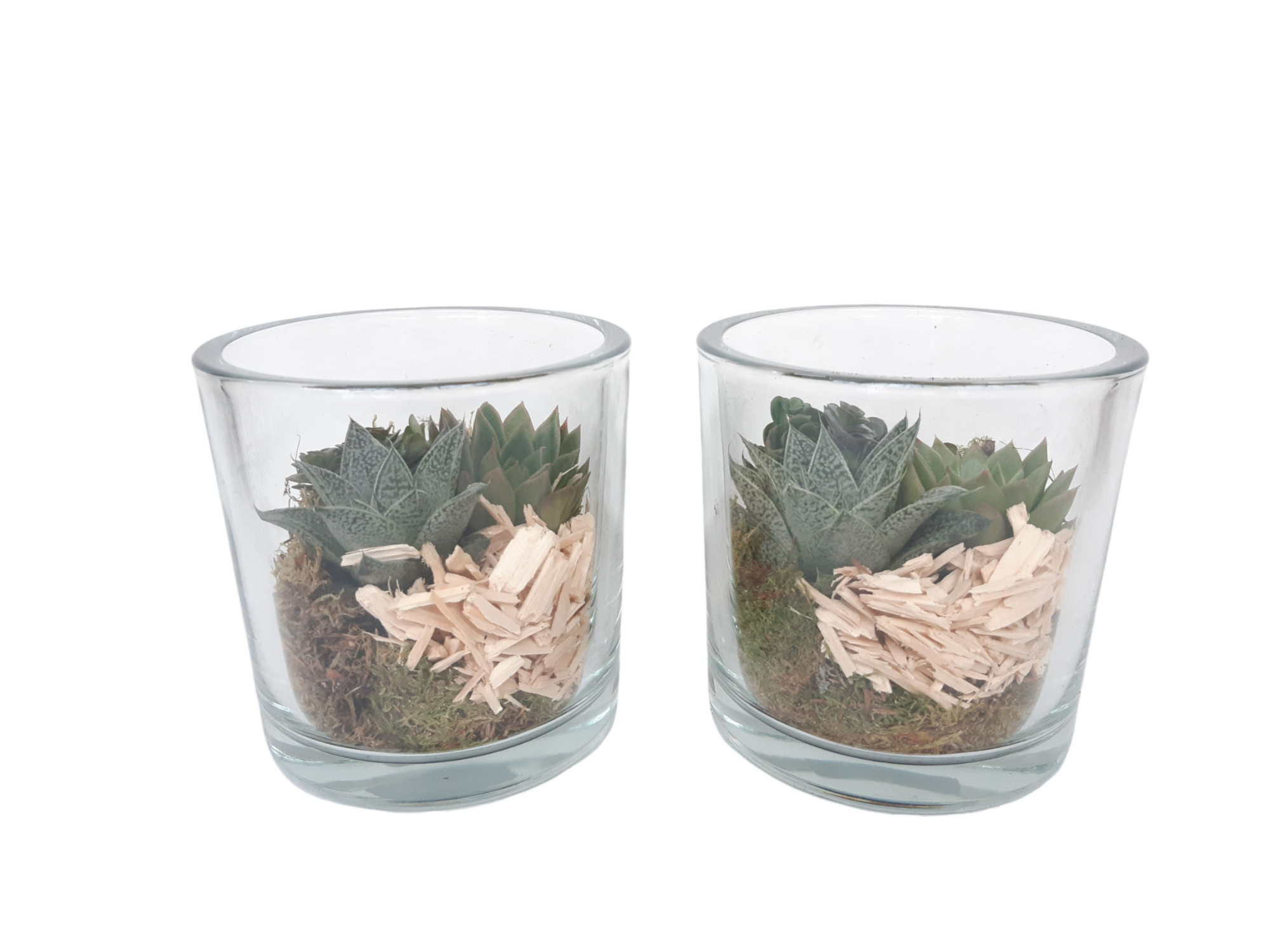 GCI14AUT Cil glas dik mini groenmix Autumn, D 14 cm