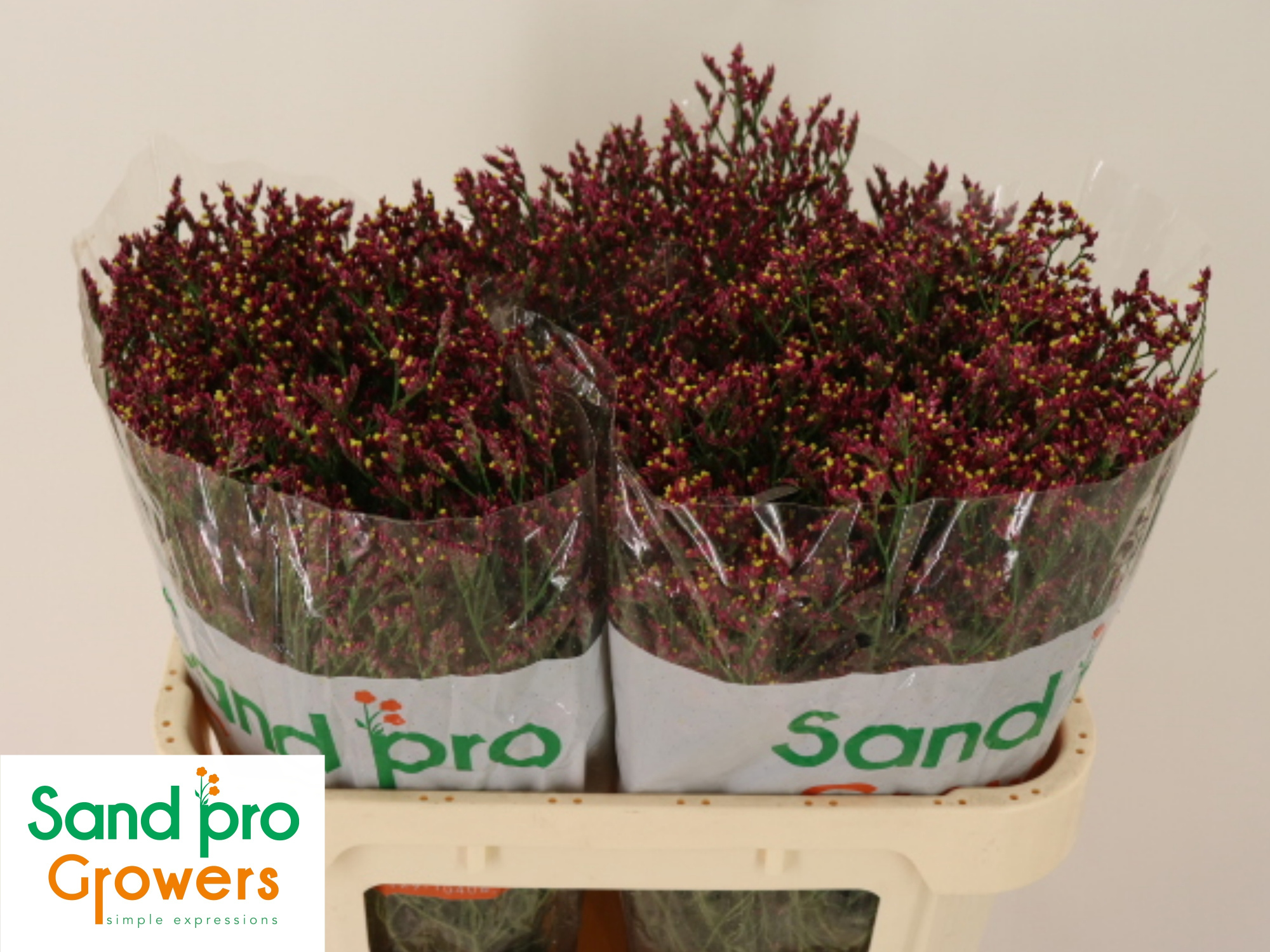 Лимониум Скарлет Даймонд 70, шт.