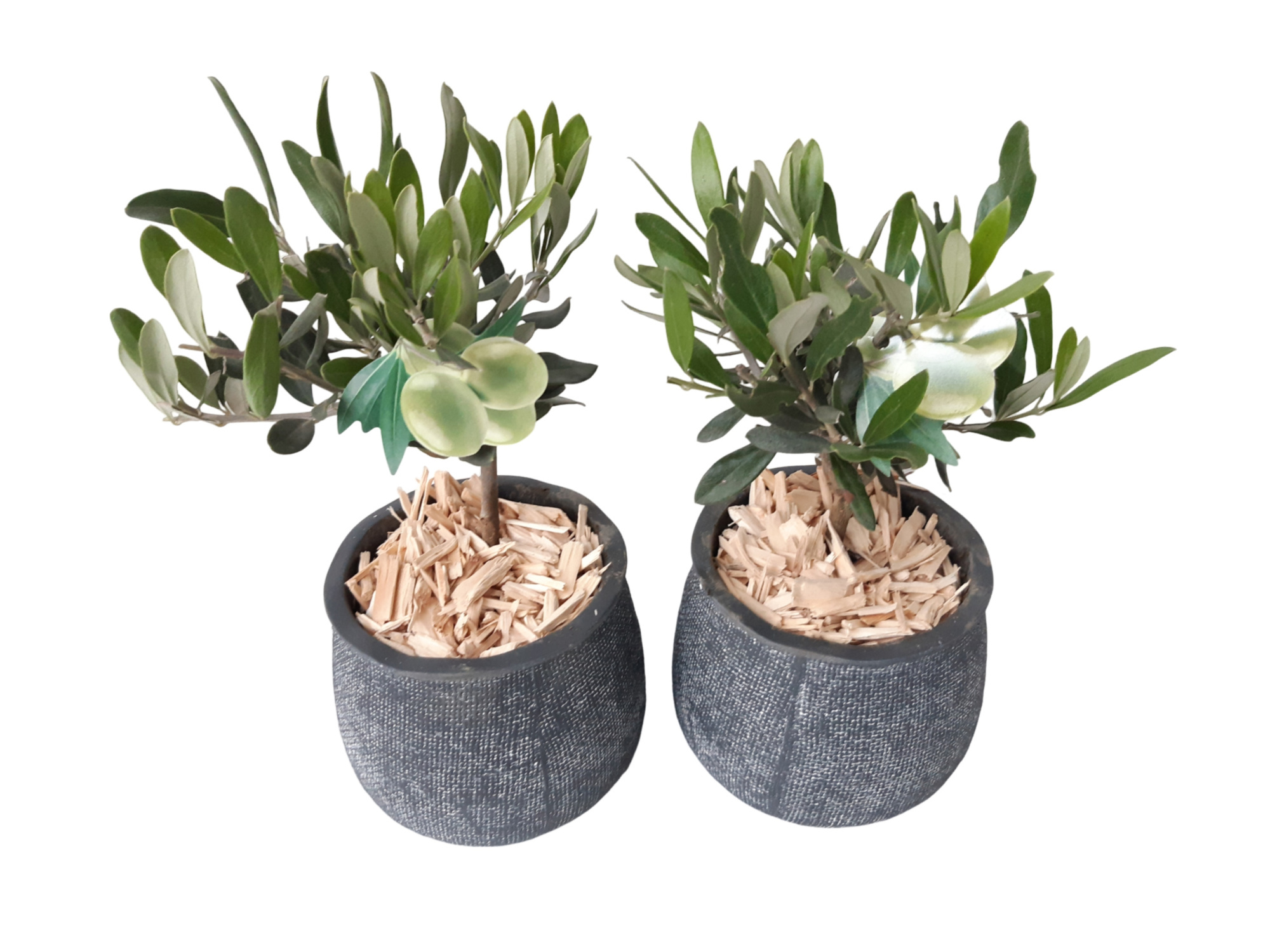 DKA11OLE Duke Pot Antraciet 11cm Olea Europaea, D 11