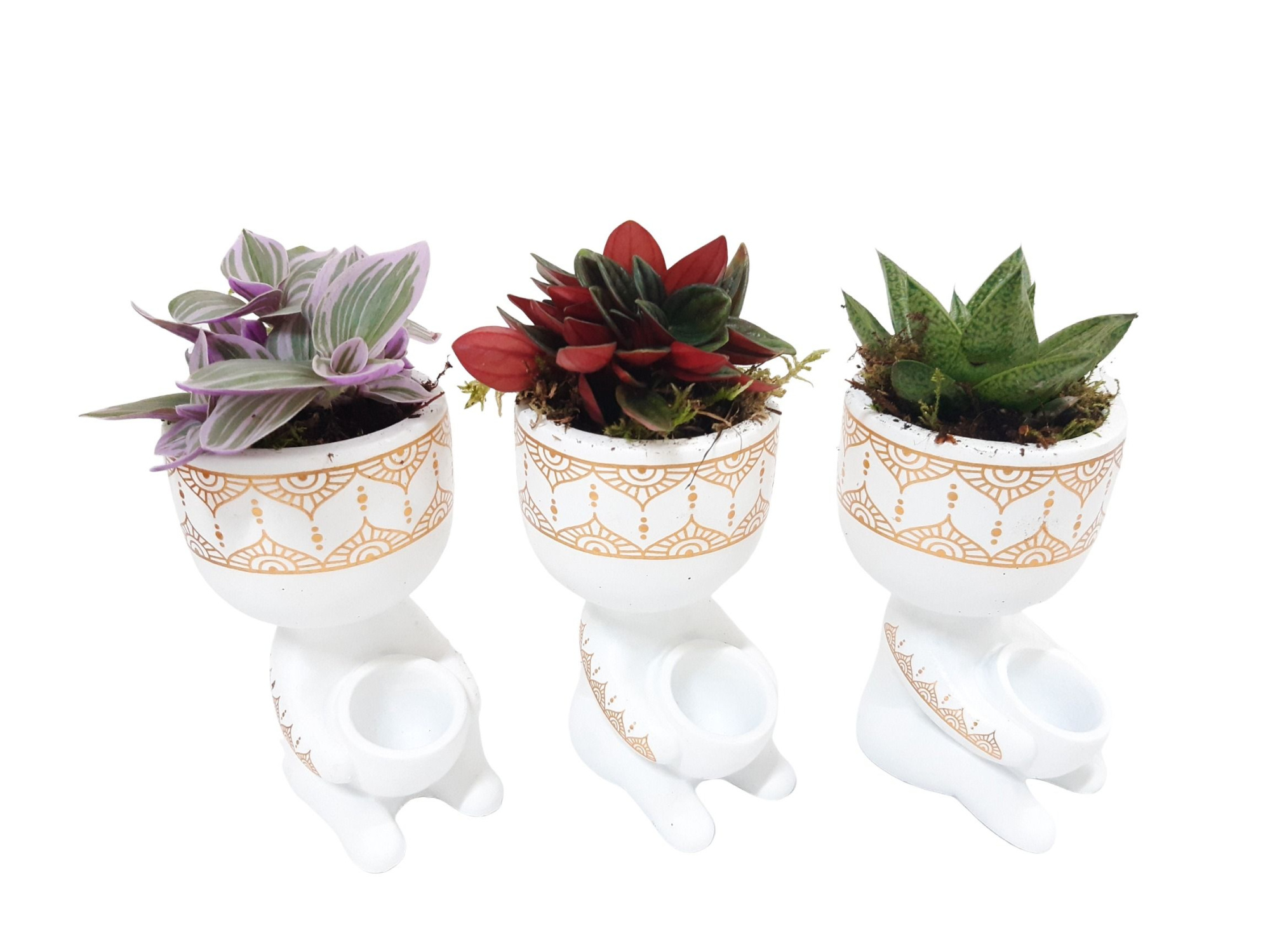 CLWH10MIX Chillings White mixtray minigroenmix, D 10