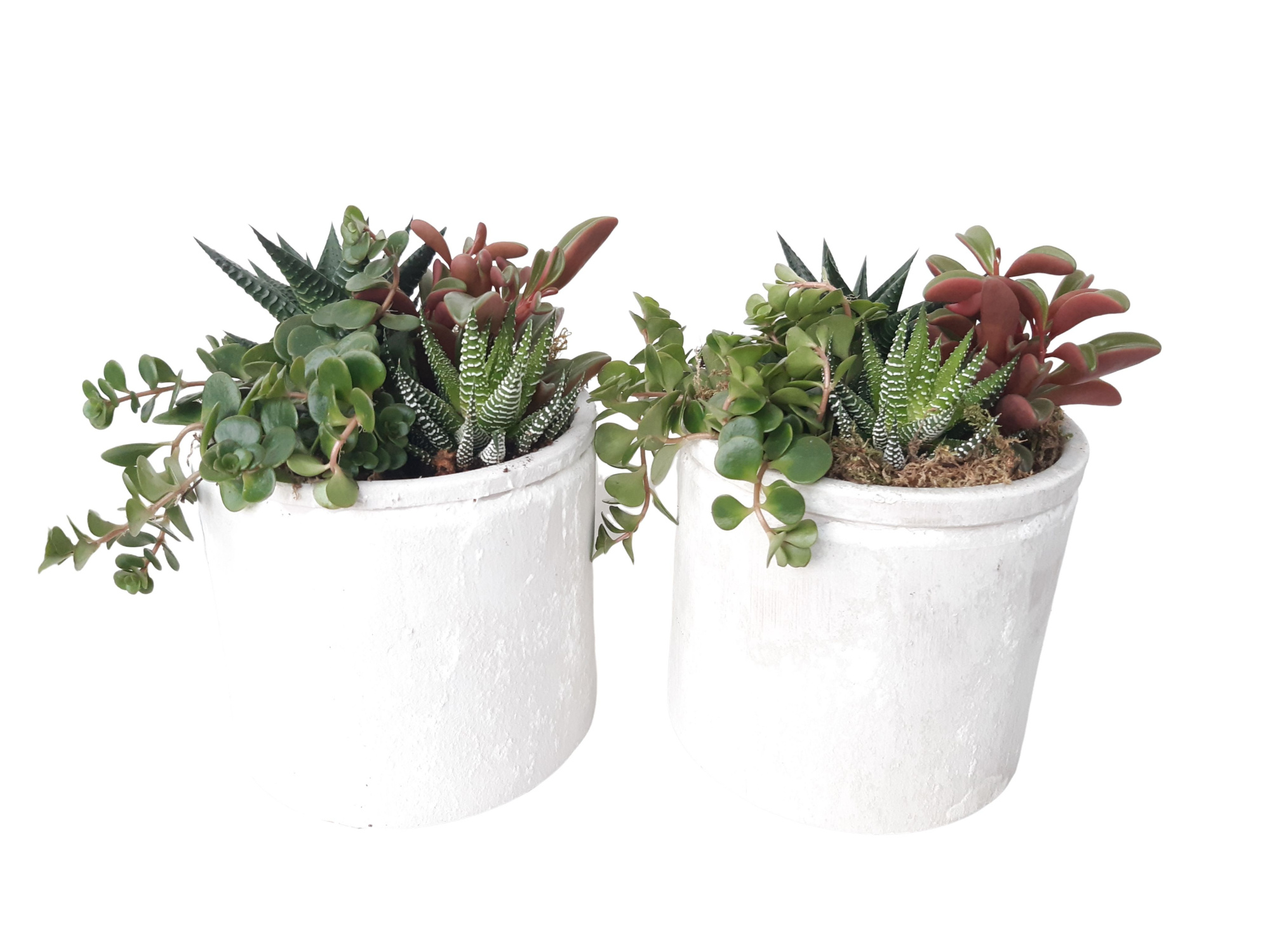 PP14HMX Planter Pot Keramiek 14cm mini plant mix, D 14