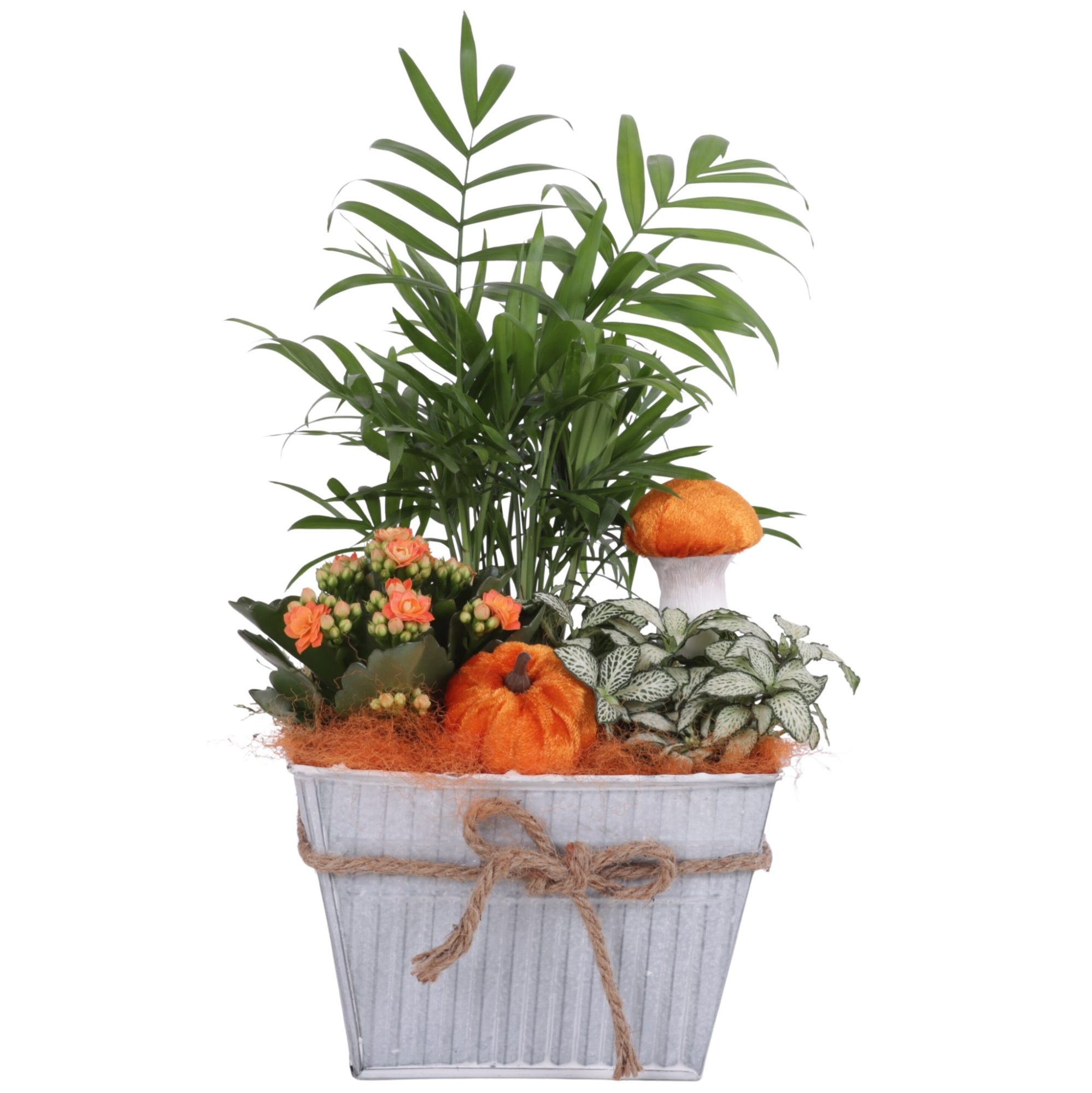 Autumn Arr. Indoor Zinc Pot Square White Rope Ø19cm 3PP, D 19 cm