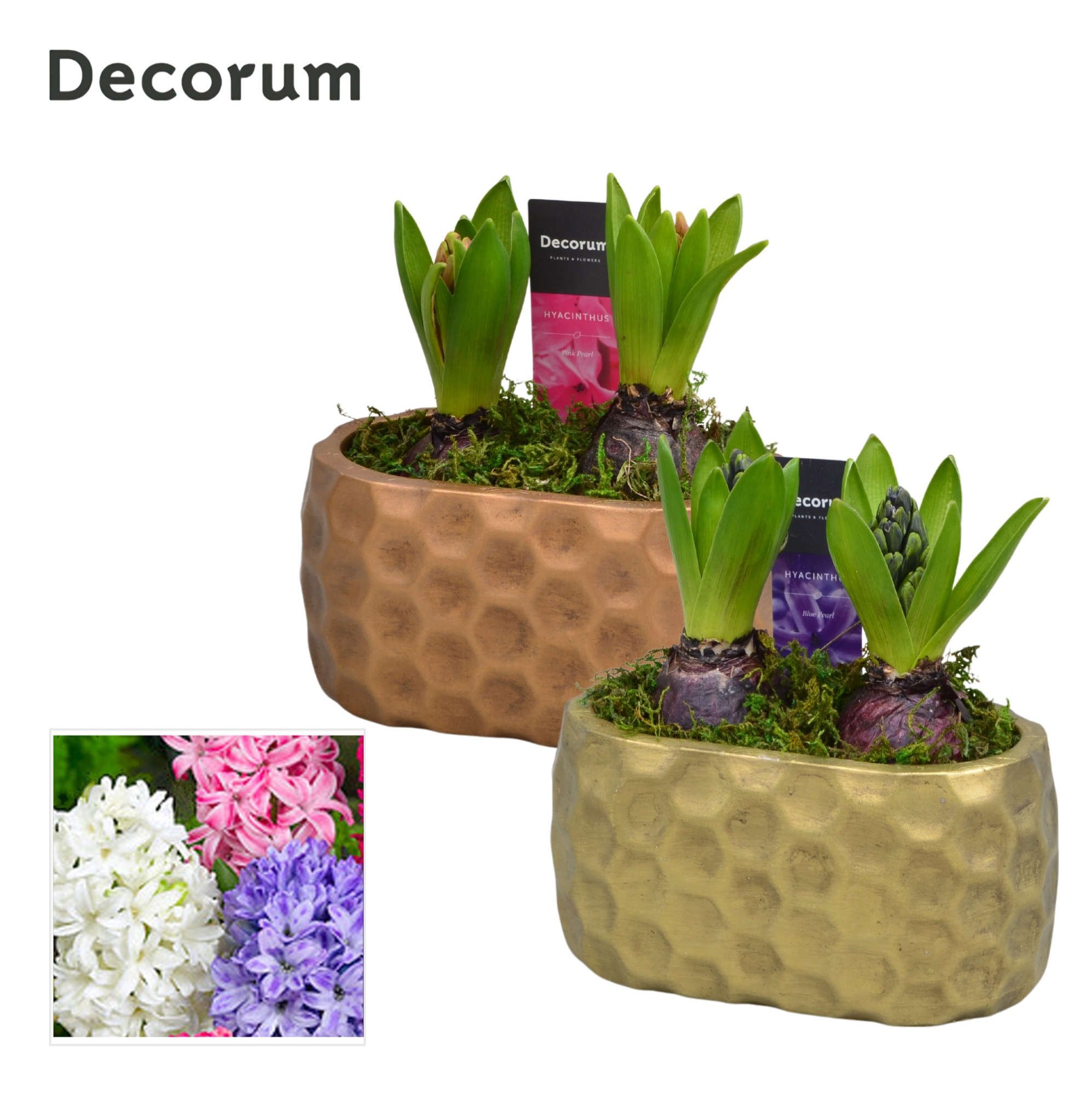 Hyacint Rava HL15330 [PURE], D 15