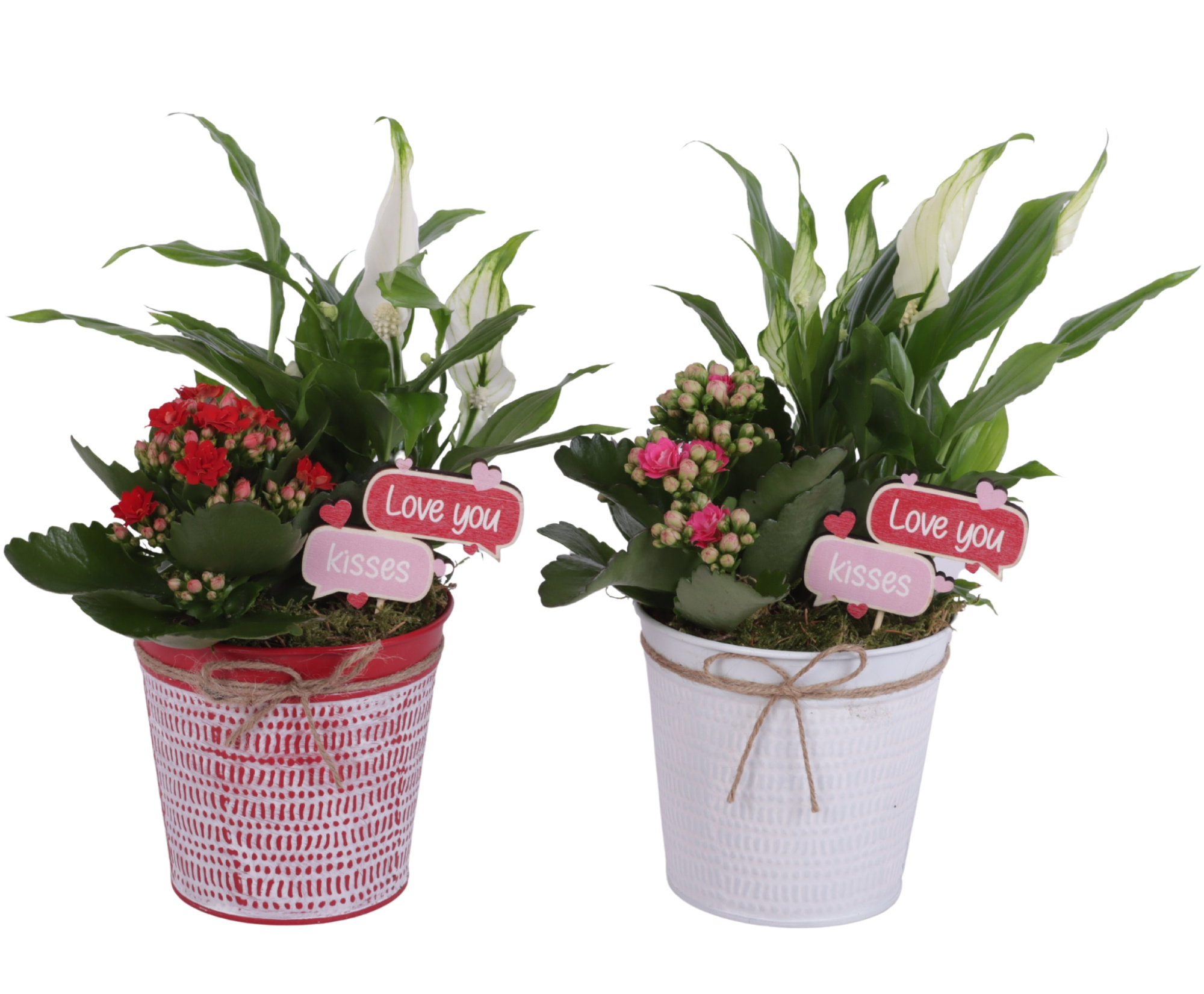 Valentine Arr. Indoor Zinc Pot Round Red/White Ø12cm 2PP, D 12