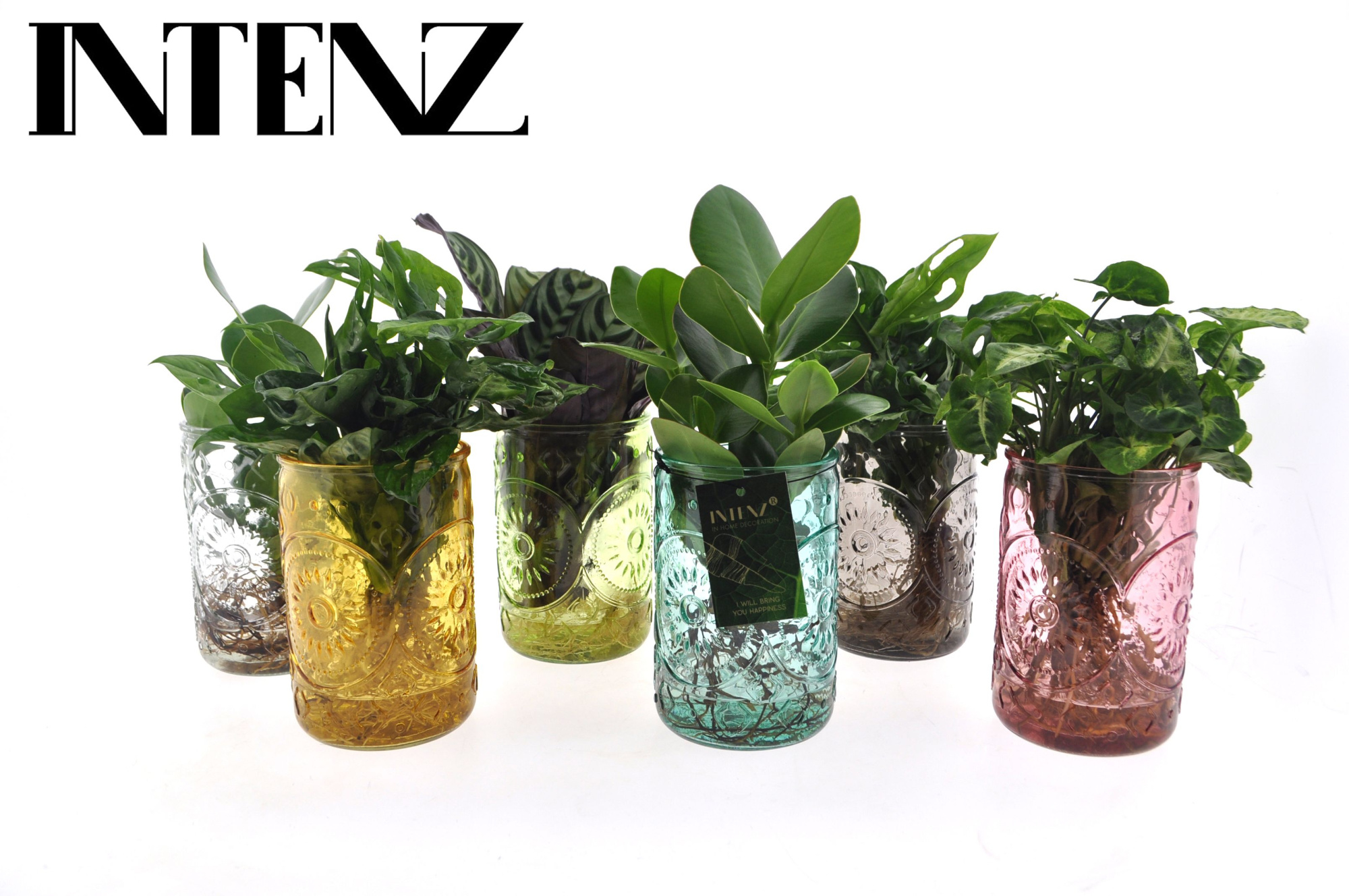 Intenz mix in Ibiza glas - levertijd: 24 uur, D 12 cm