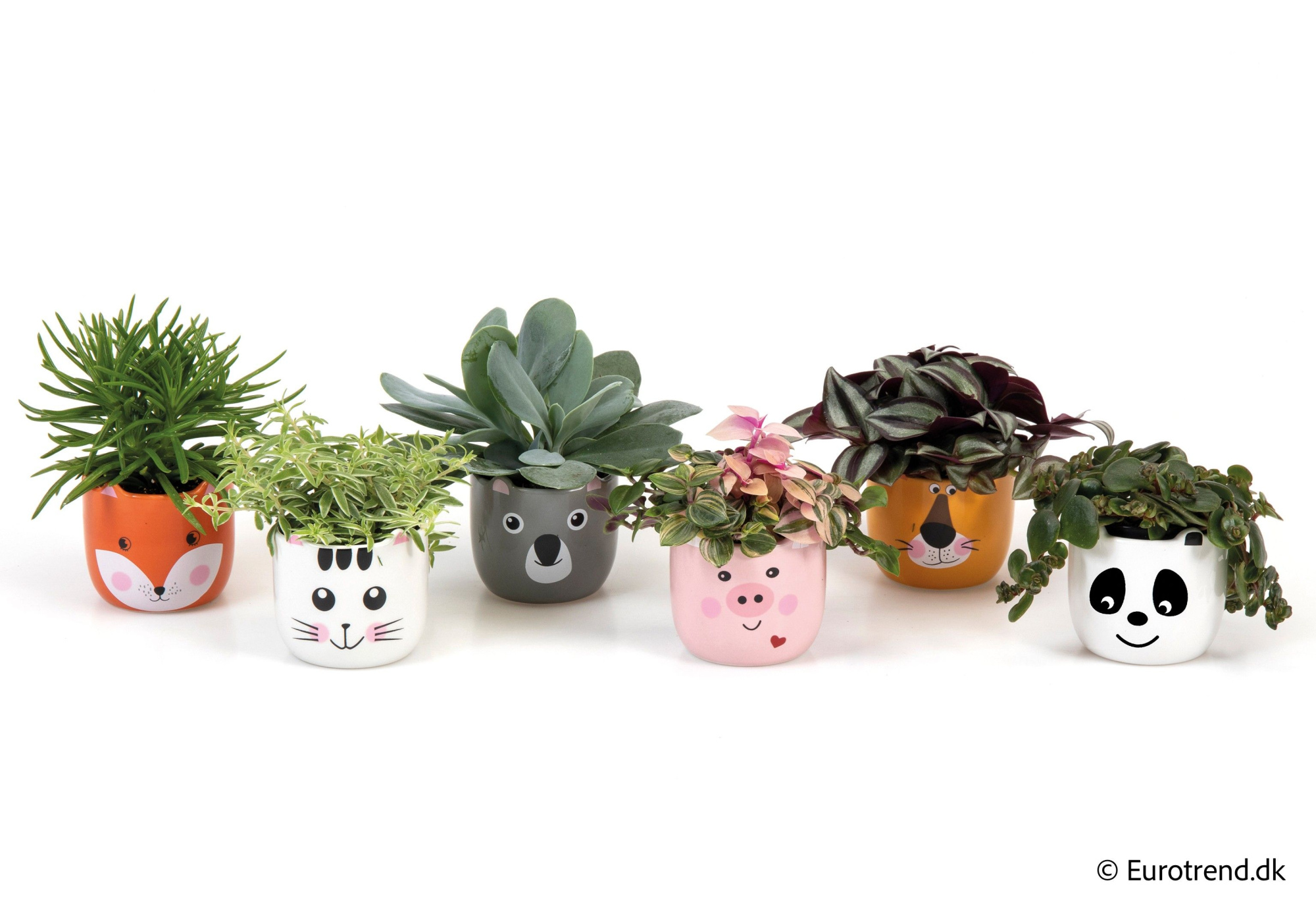 Green mix in ceramic - Spring, Summer & Autumn 2025, D 6 cm