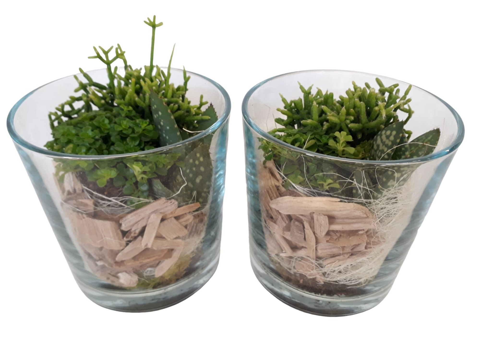 213 NAT Minigroenmix Cilinderglas 13cm, D 13 cm