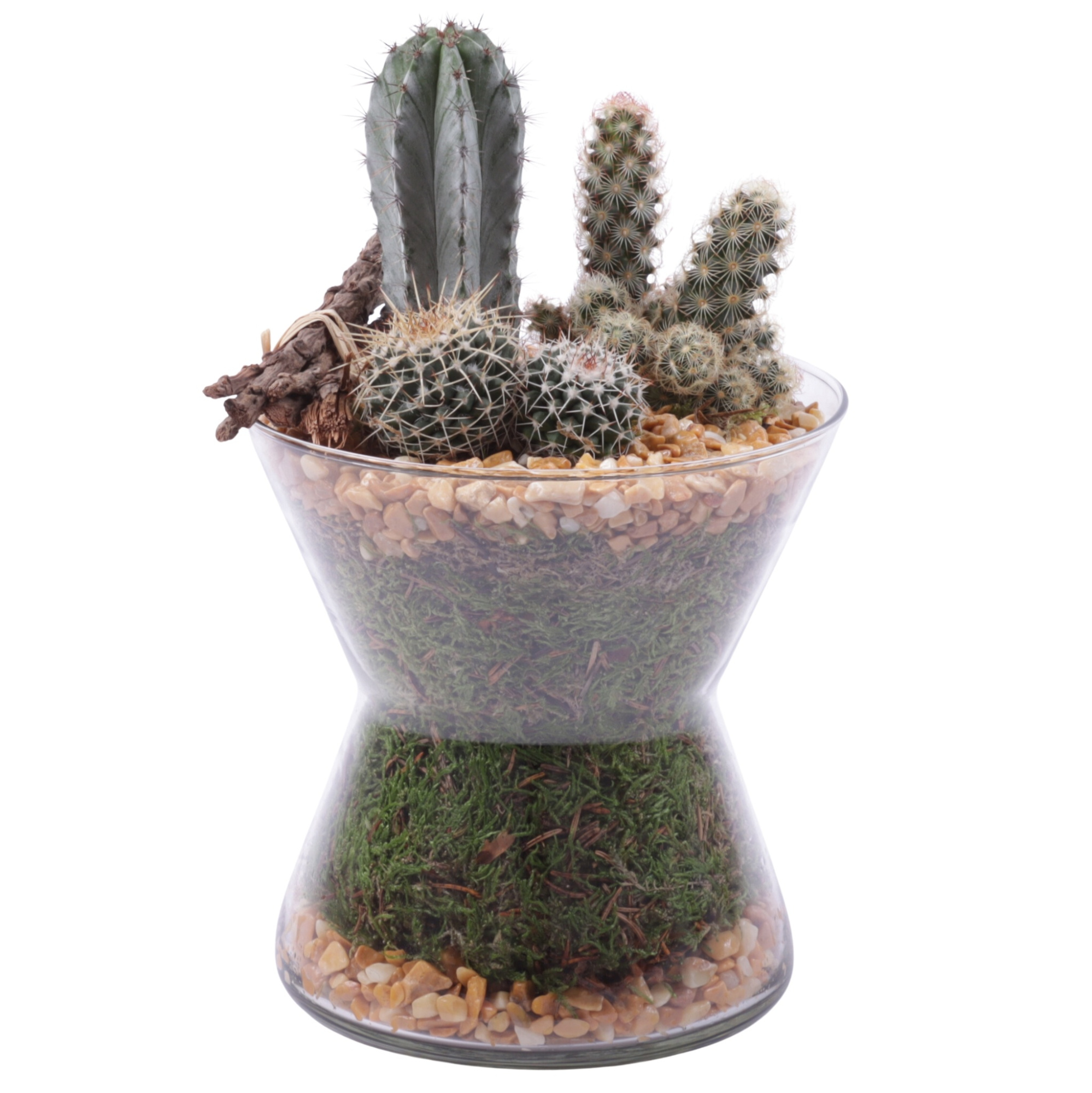 Yearround Arr. Cactus Glass Hourglass Ø16cm 3PP, D 16 cm