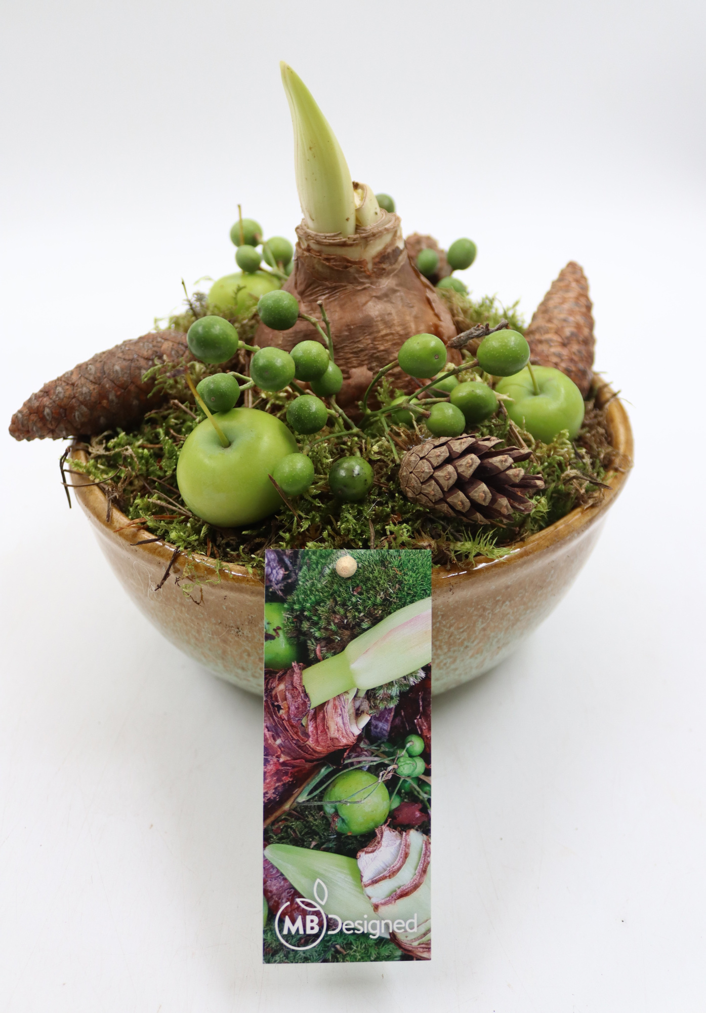 Amaryllis, luxe keramiek schaal, D 19 cm