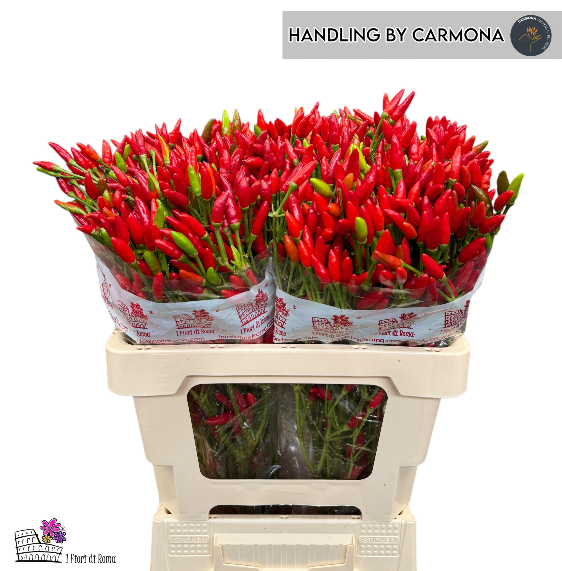 Капсикум Рэд Фае 60, шт.