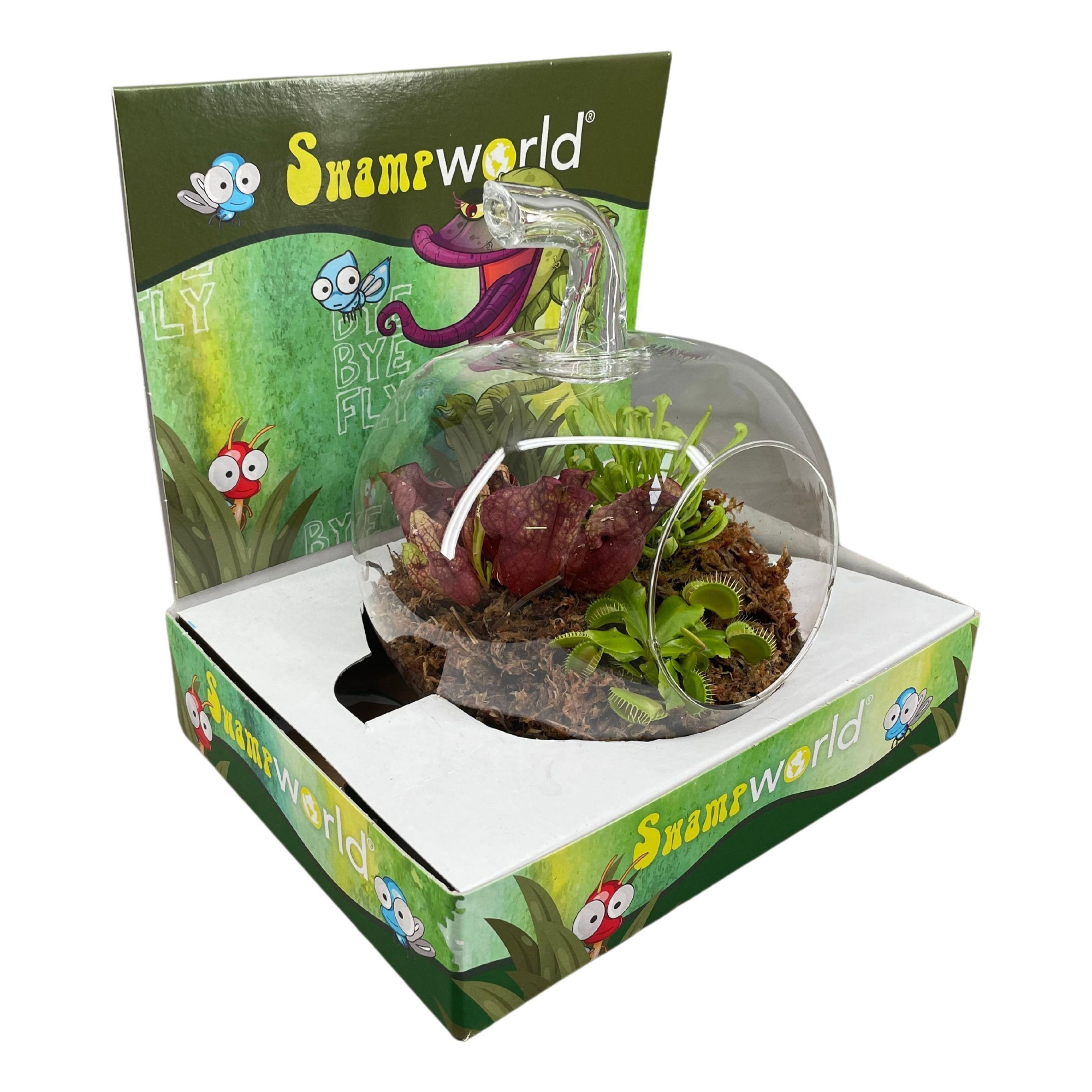 Terrarium appel glas in display, D 20 cm
