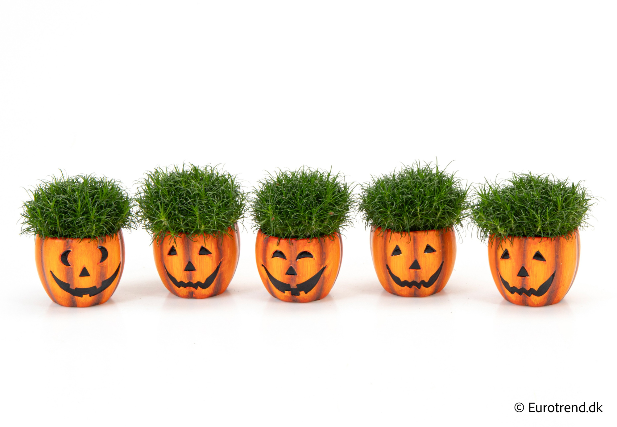 Sagina in Halloween ceramic 2025, D 6 cm