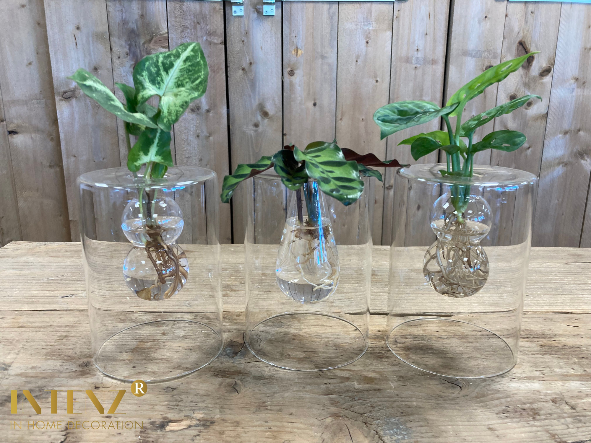 Mix in Sydney glas, D 7 cm