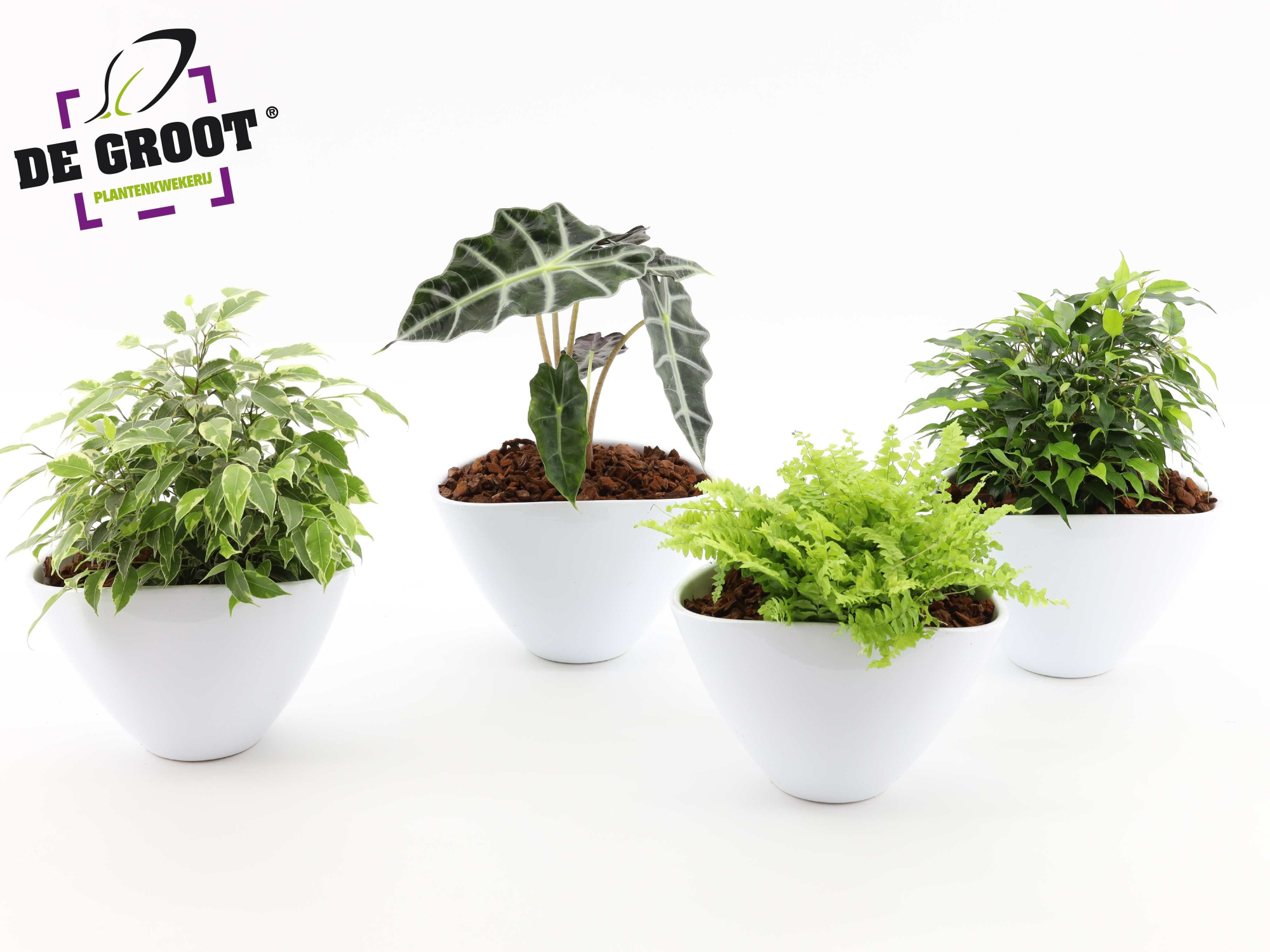 Groenmix in envelopppot, D 18 cm