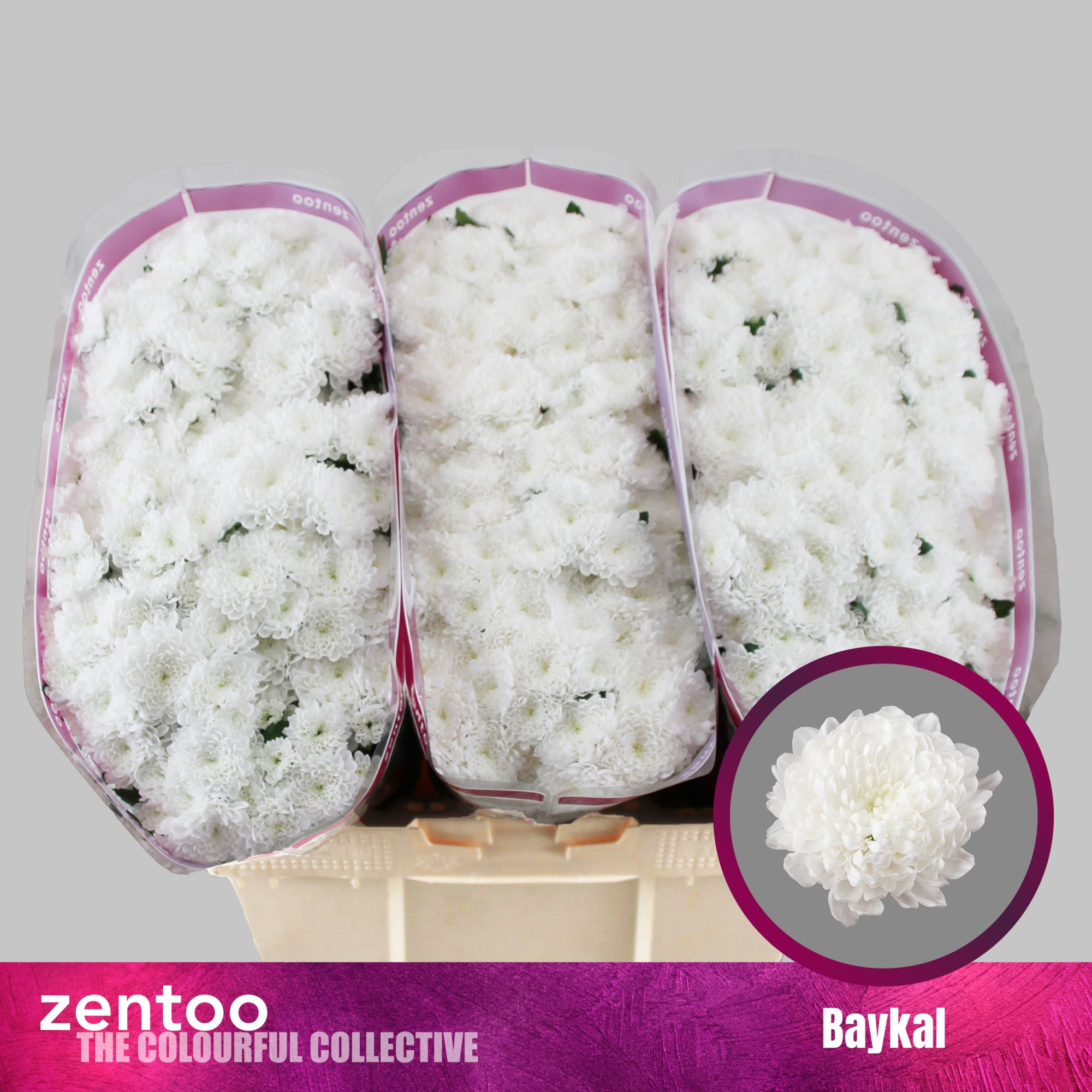 Сантини Байкал, шт.