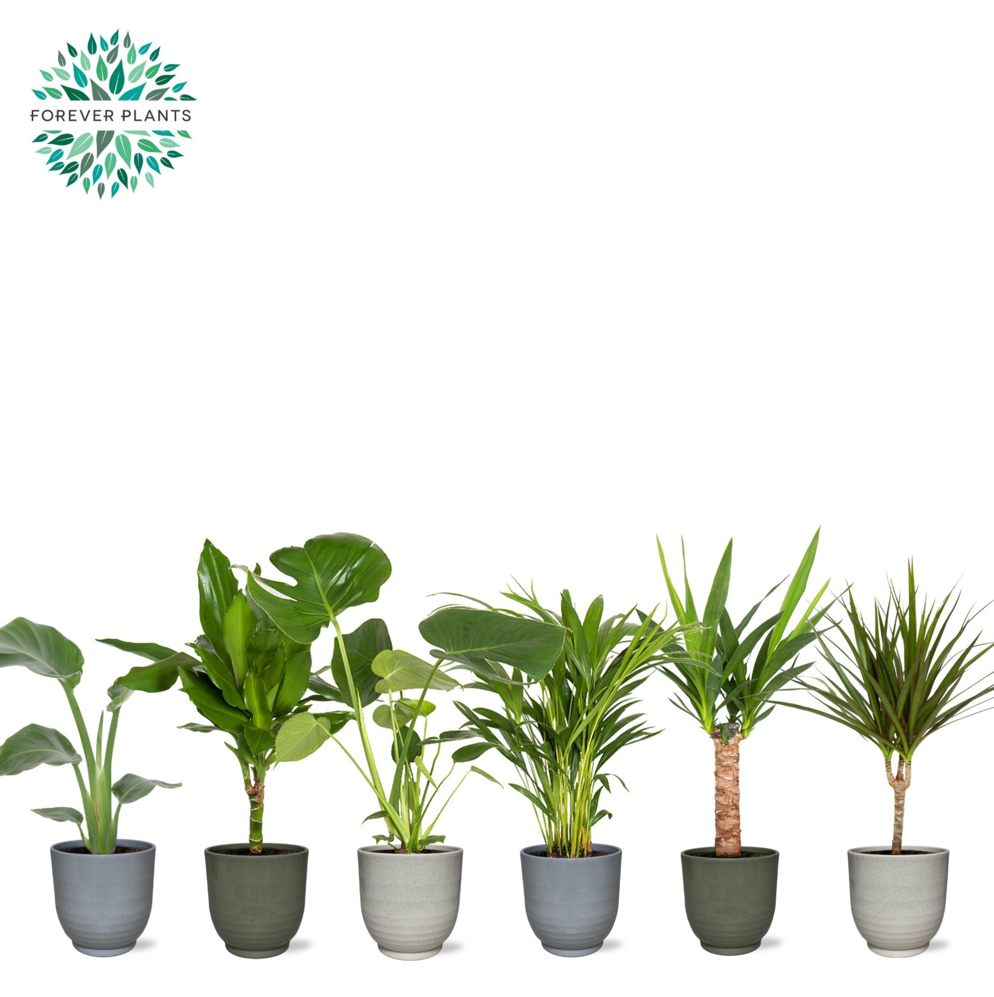 Groen Mix p14 in FEM Keramiek, D 14