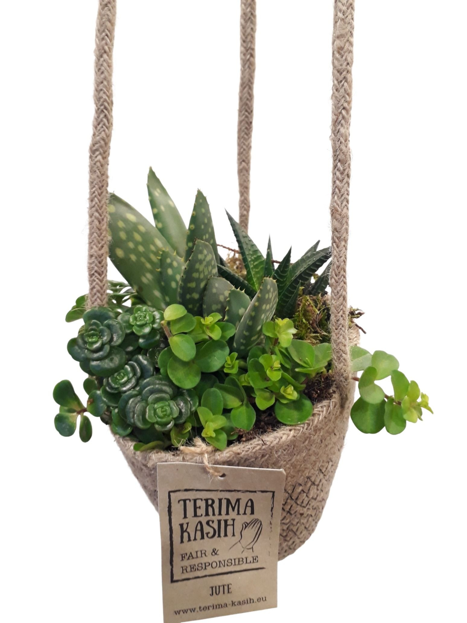 JH13SCRP Jute hangmand mini succulentmix, D 13 cm