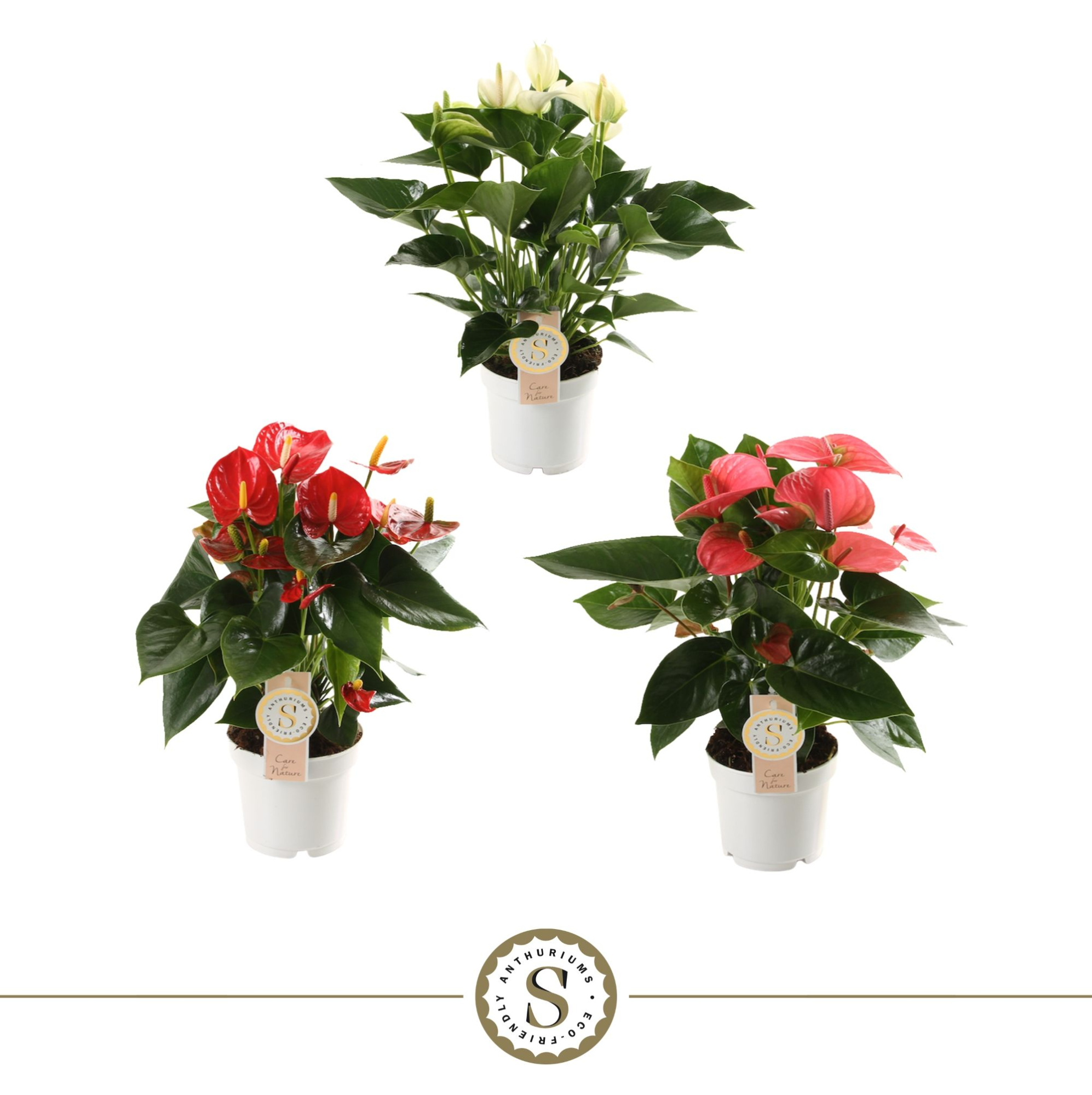 Top Mix 12cm, D 12 cm