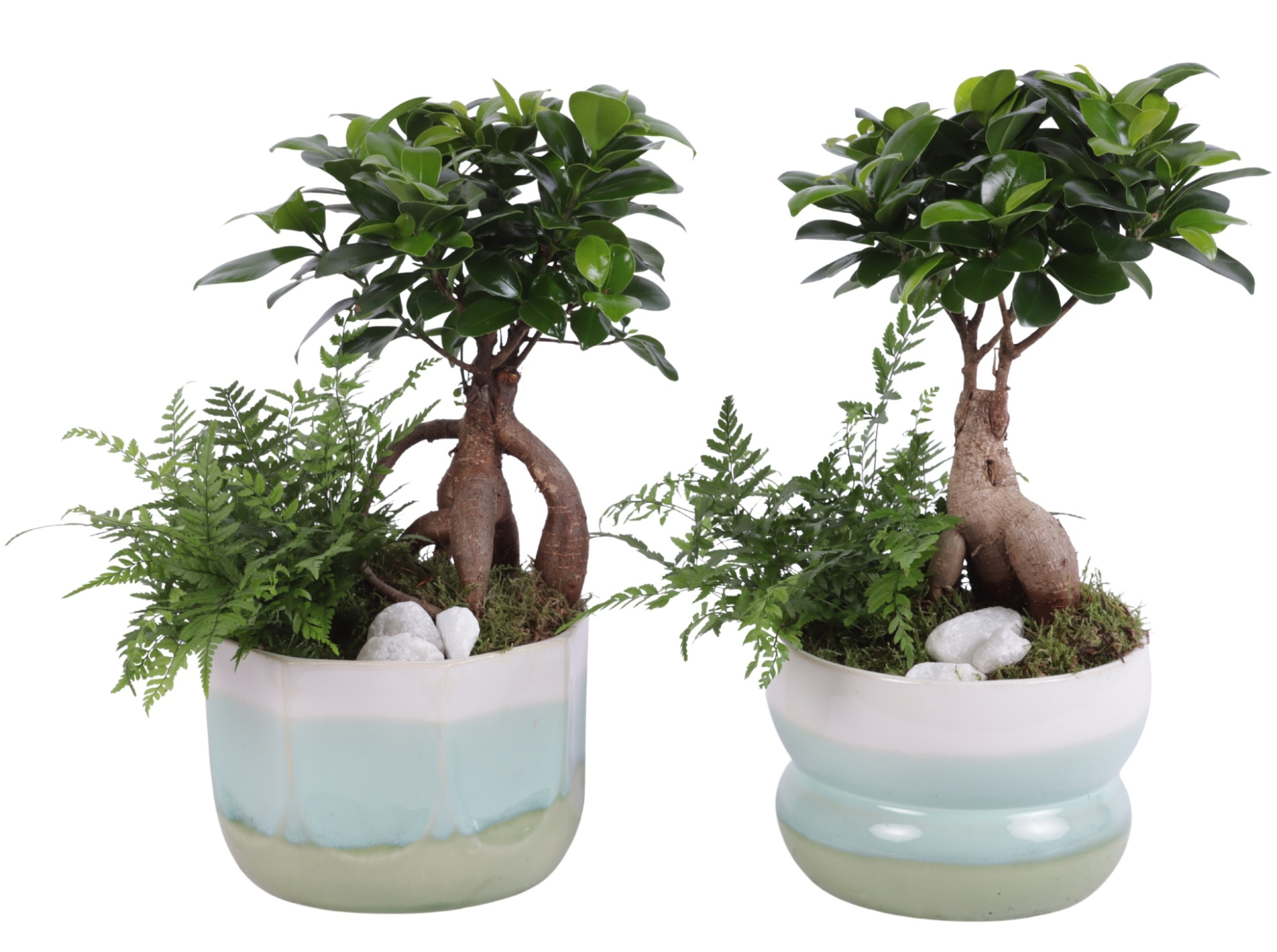 Yearround Arr. Indoor Ceramic Fresh Breeze FB675 Ø17cm 2PP, D 17