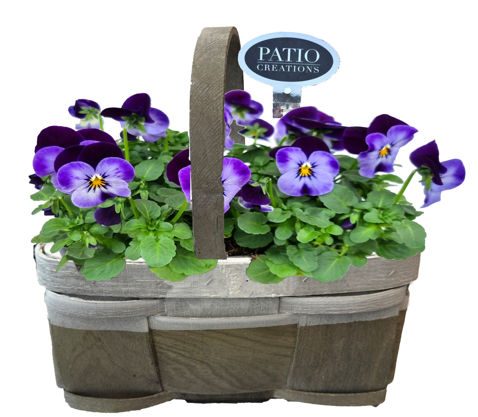 V826-9001 Viola Fenna houten handvat S, D 21 cm