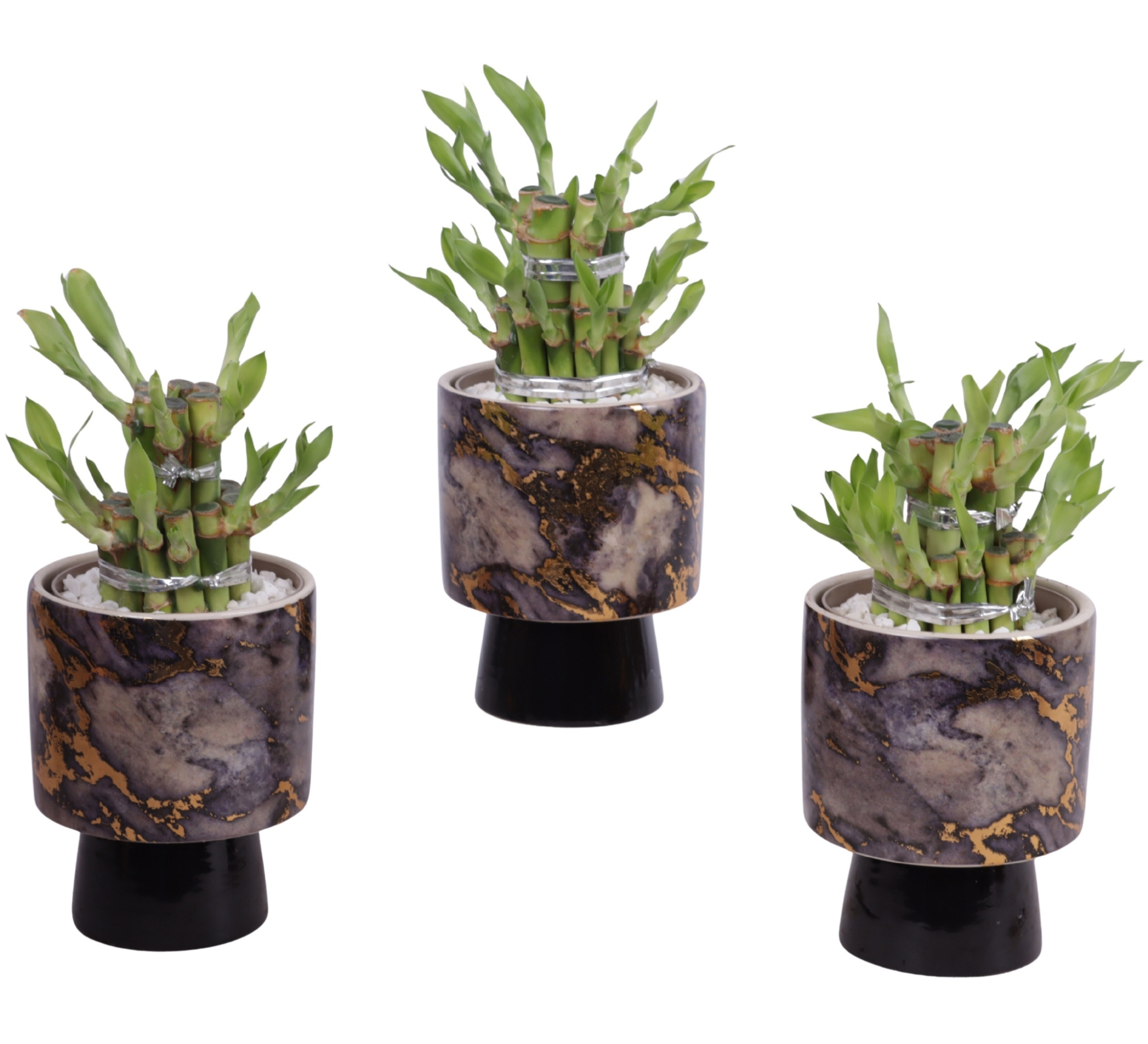 Lucky Bamboo Shape Round 2S Ø10cm Ceramic PL672, D 10