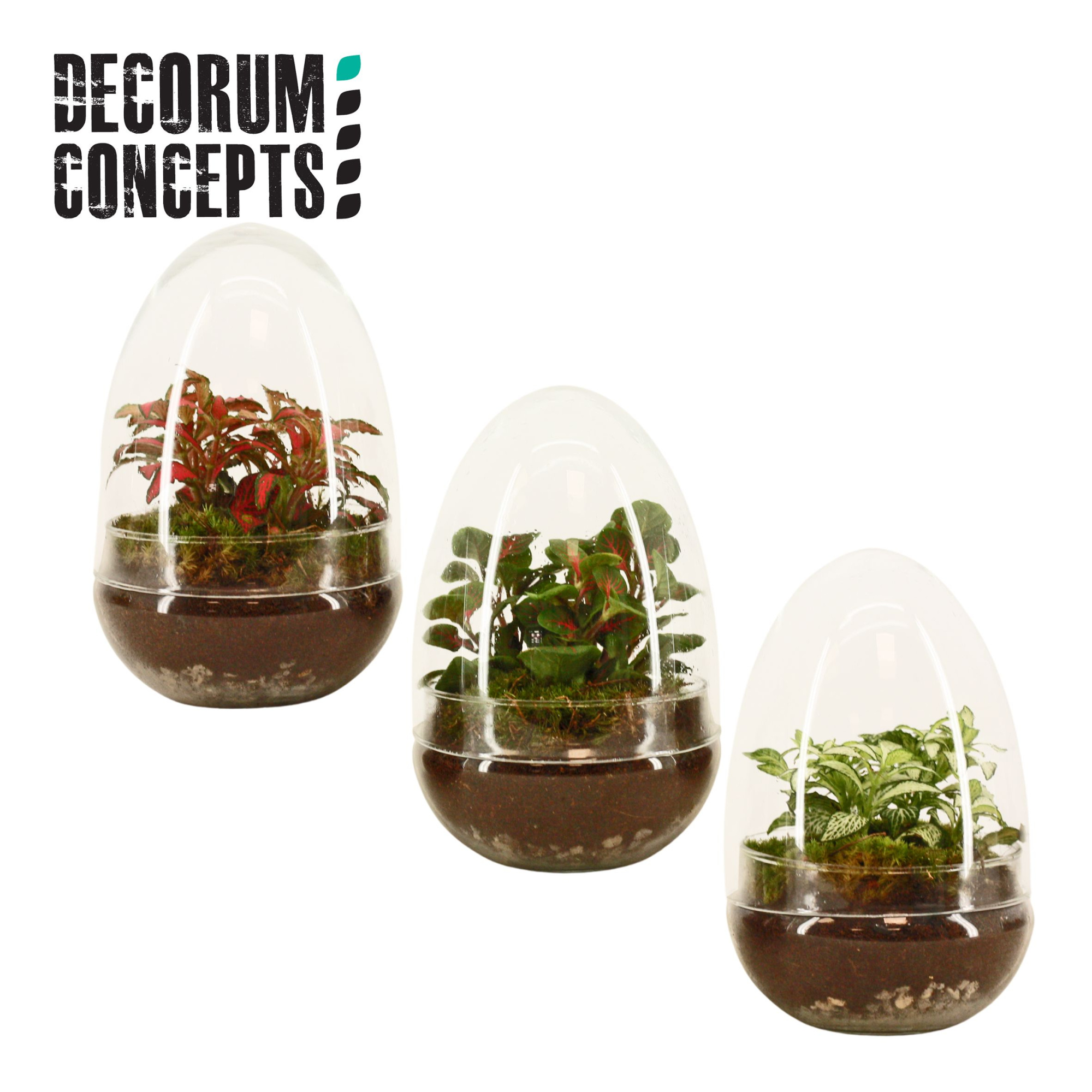 Terrarium Egg small (Decorum concepts), D 12,5 cm