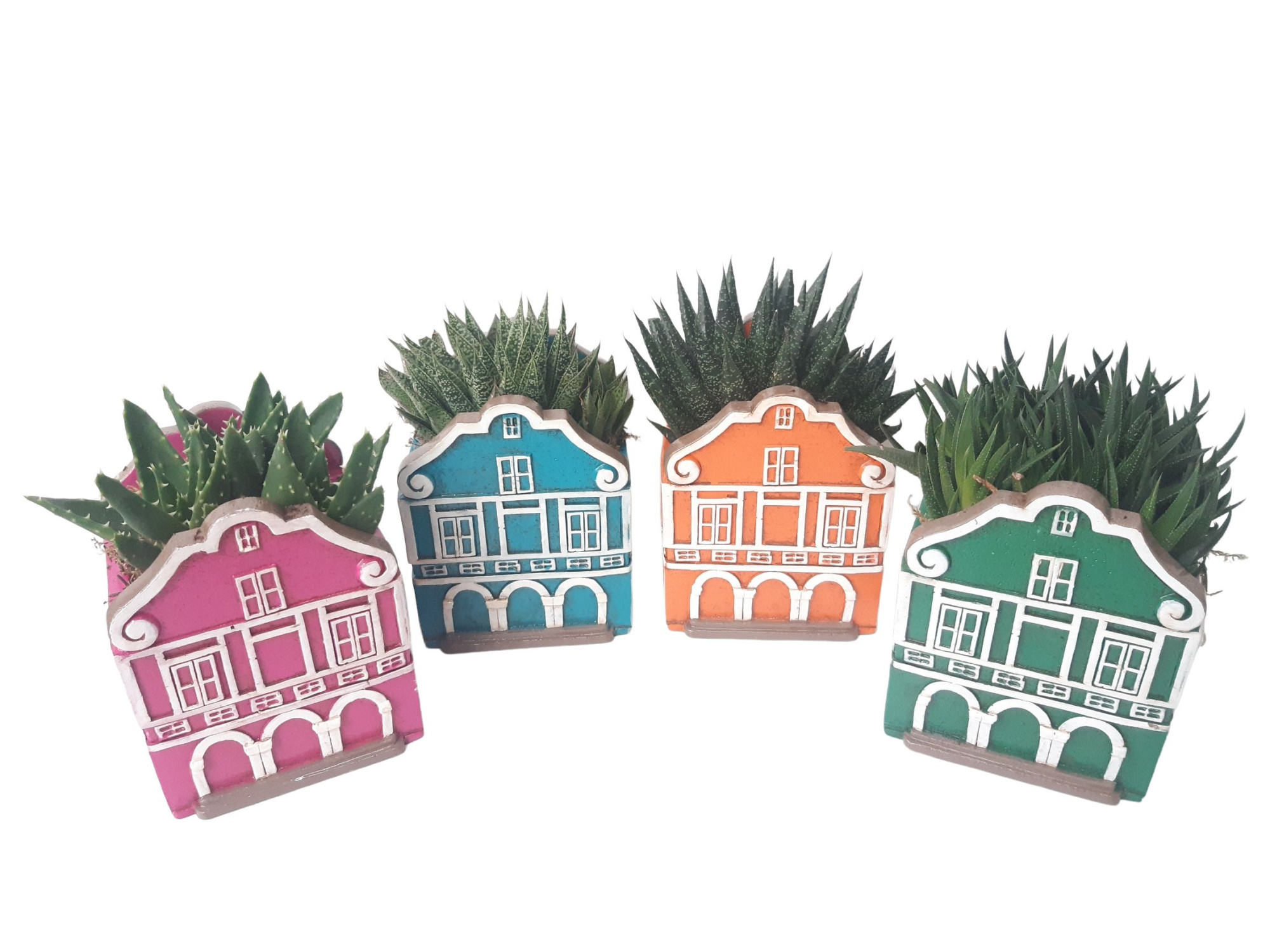 CASA C11SUC Casa Carribean Succulentmix, D 11 cm