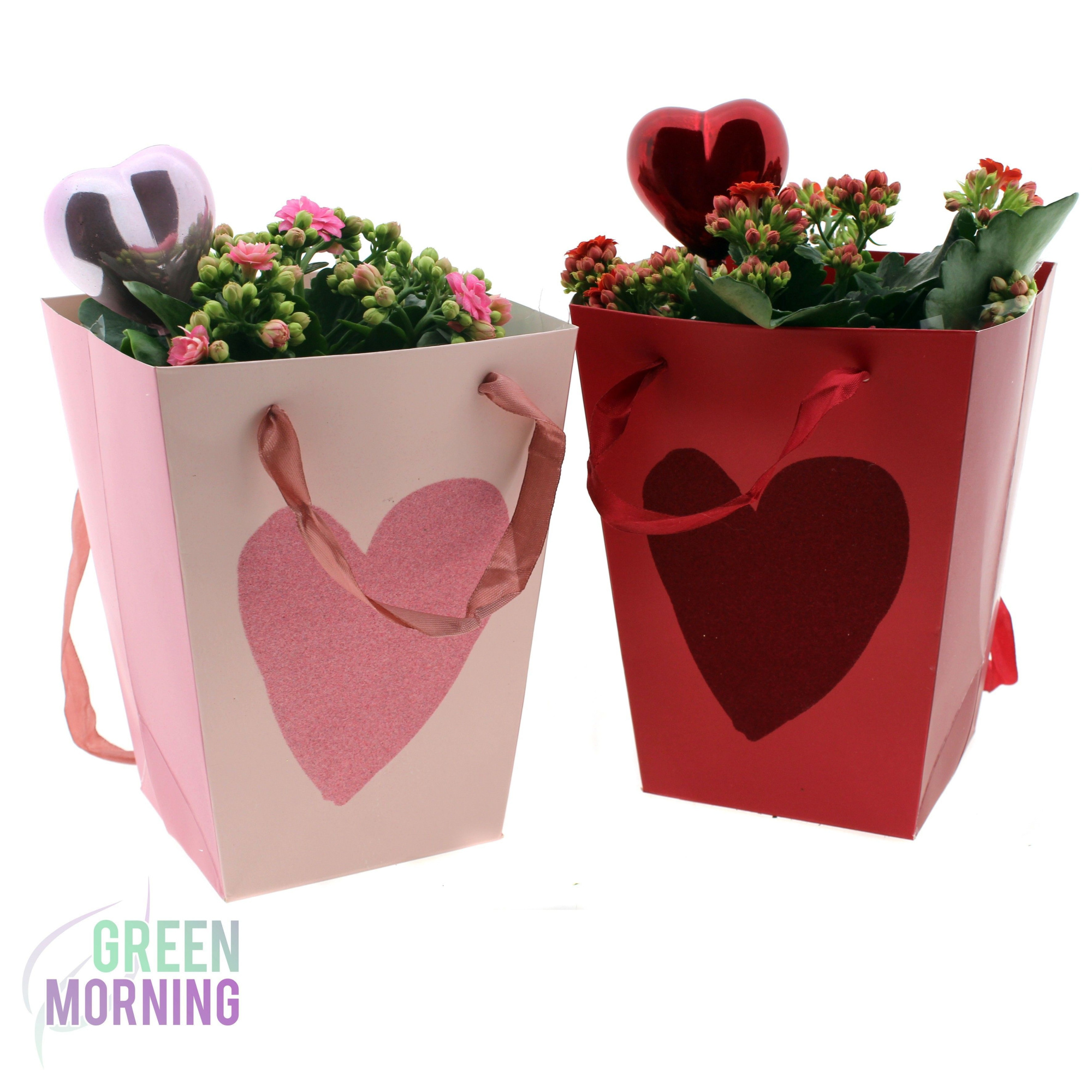 Kalanchoe 12 cm in Hartje Tas Love 15 cm met hart bijsteker, D 12