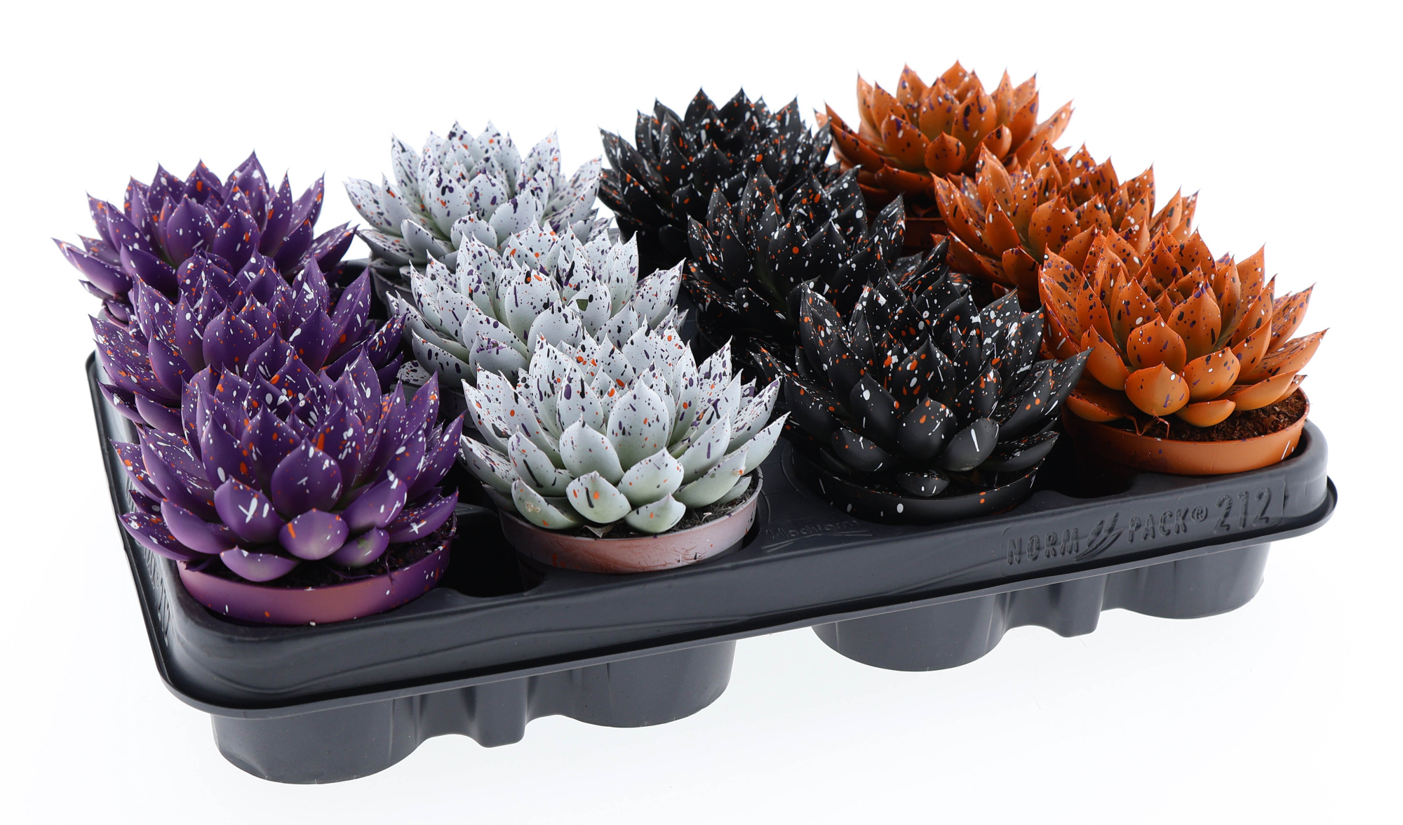 Halloween sprinkle mix, D 8,5