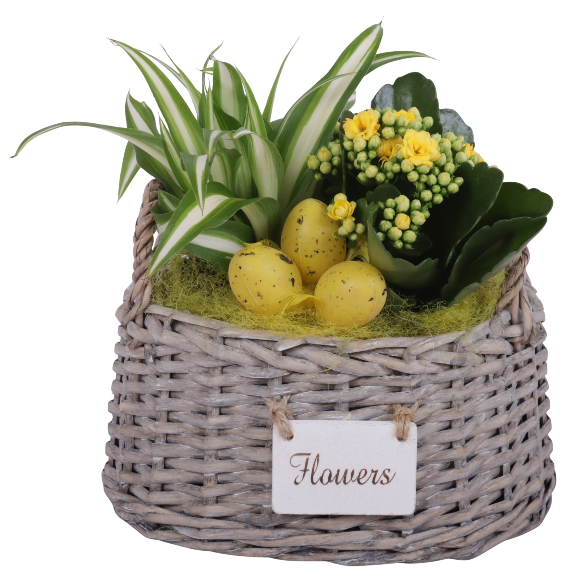 Easter Arr. Indoor Willow Basket Oval Flowersign Ø20cm 2PP, D 20