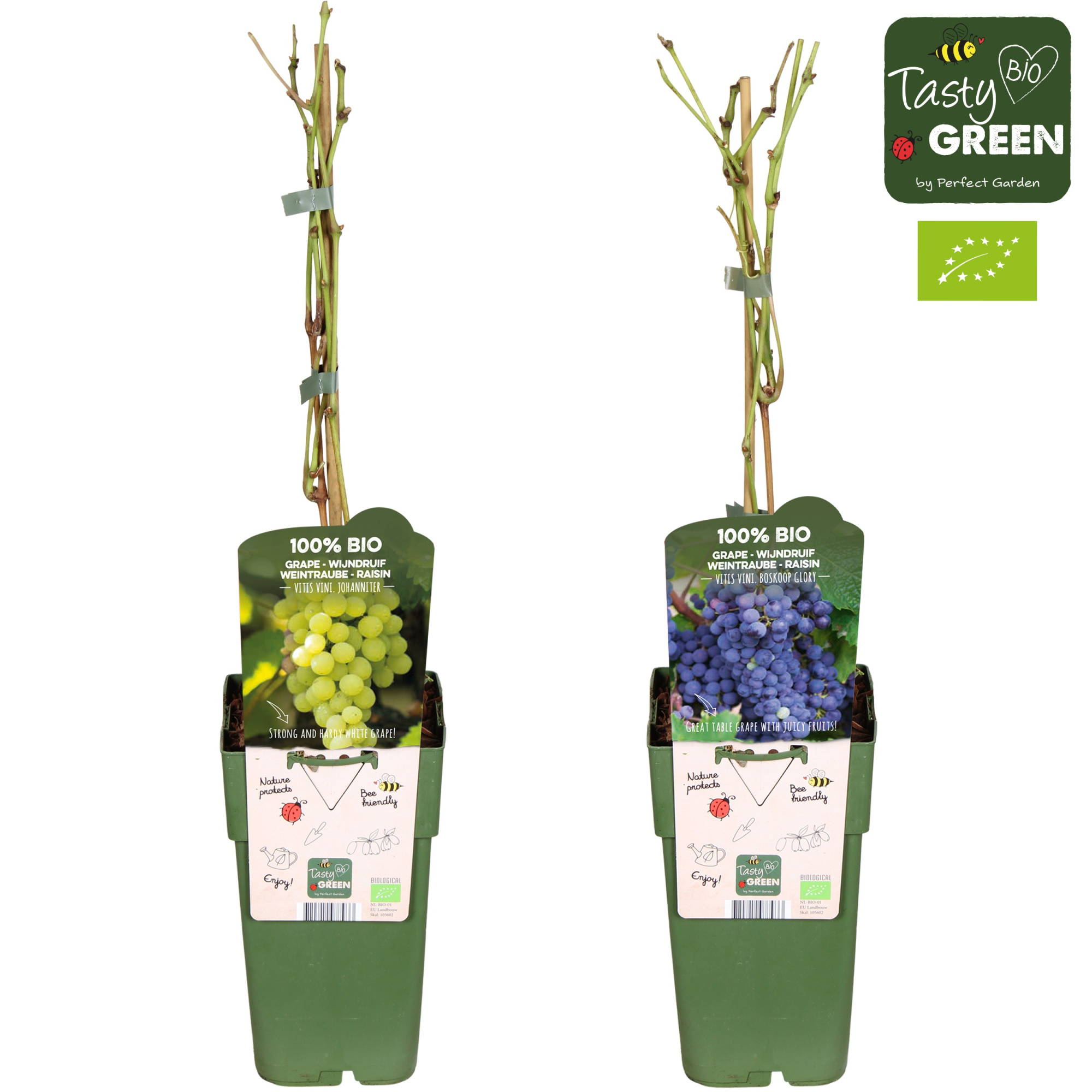 Vitis mix laag Bio P15, D 15 cm