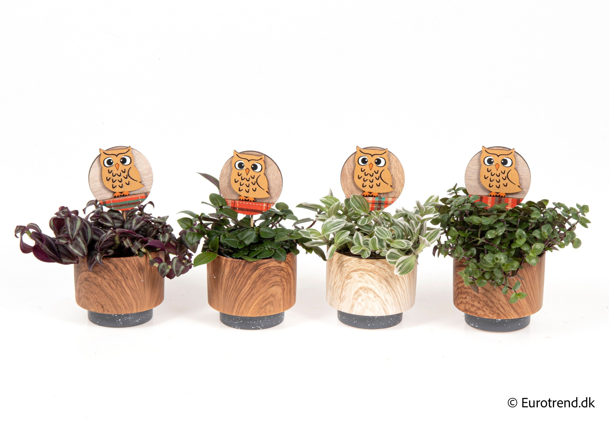 Green mix in autumn ceramic with owl sticker - Spring, Summer & Autumn 2025, D 6 cm