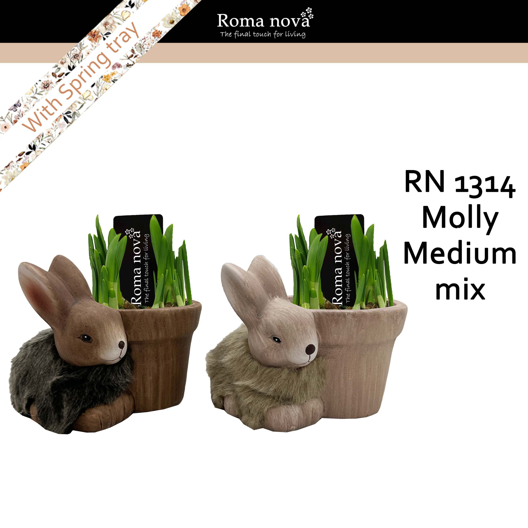 1314 - Molly Medium mix (Tete a Tete), D 15