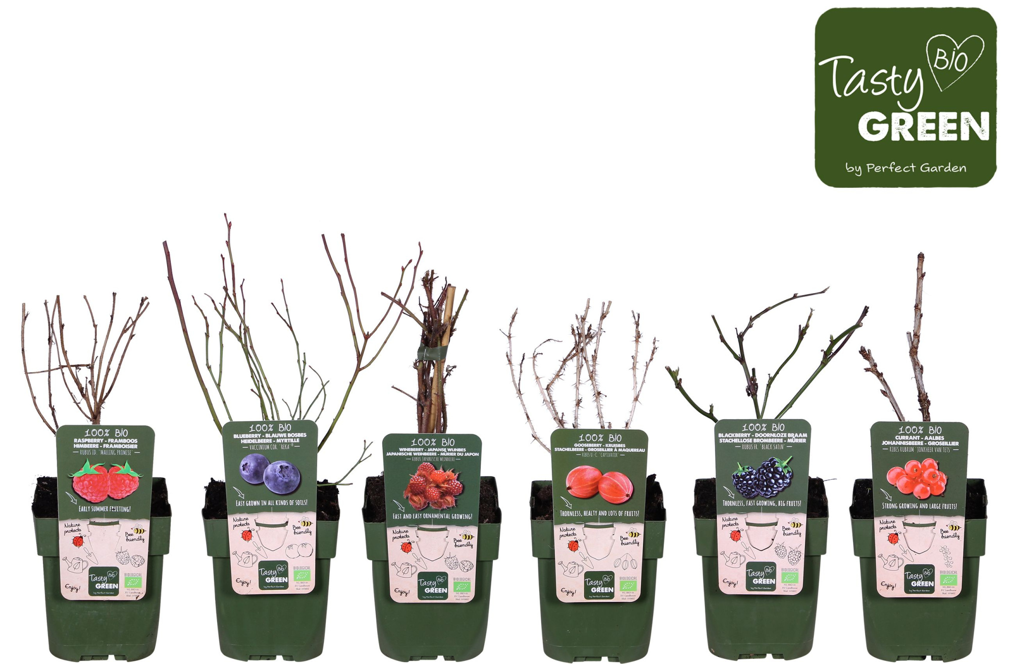 Fruit mix laag bio standaard P13 (6x6), D 13